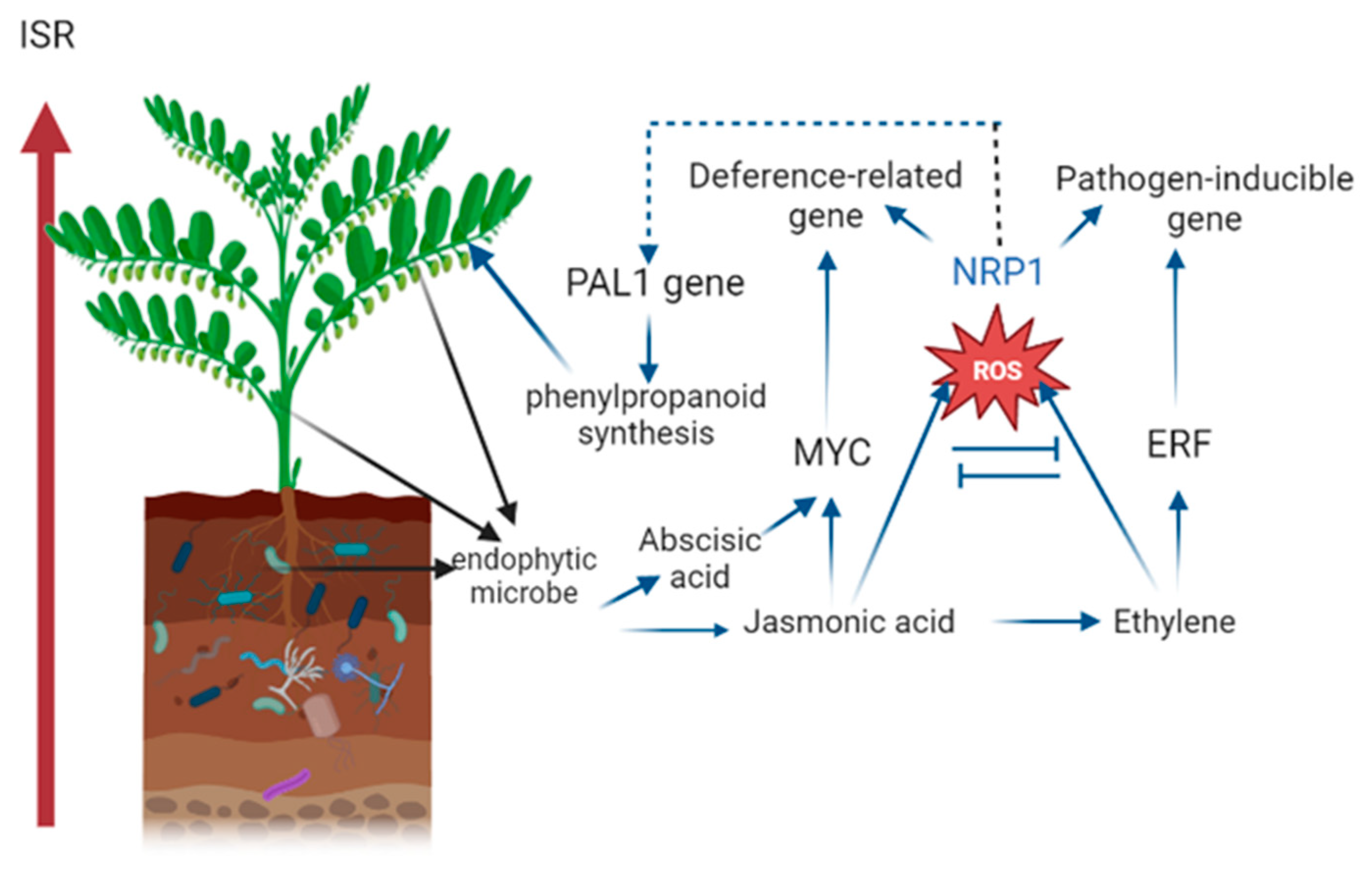 Horticulturae 10 00195 g003