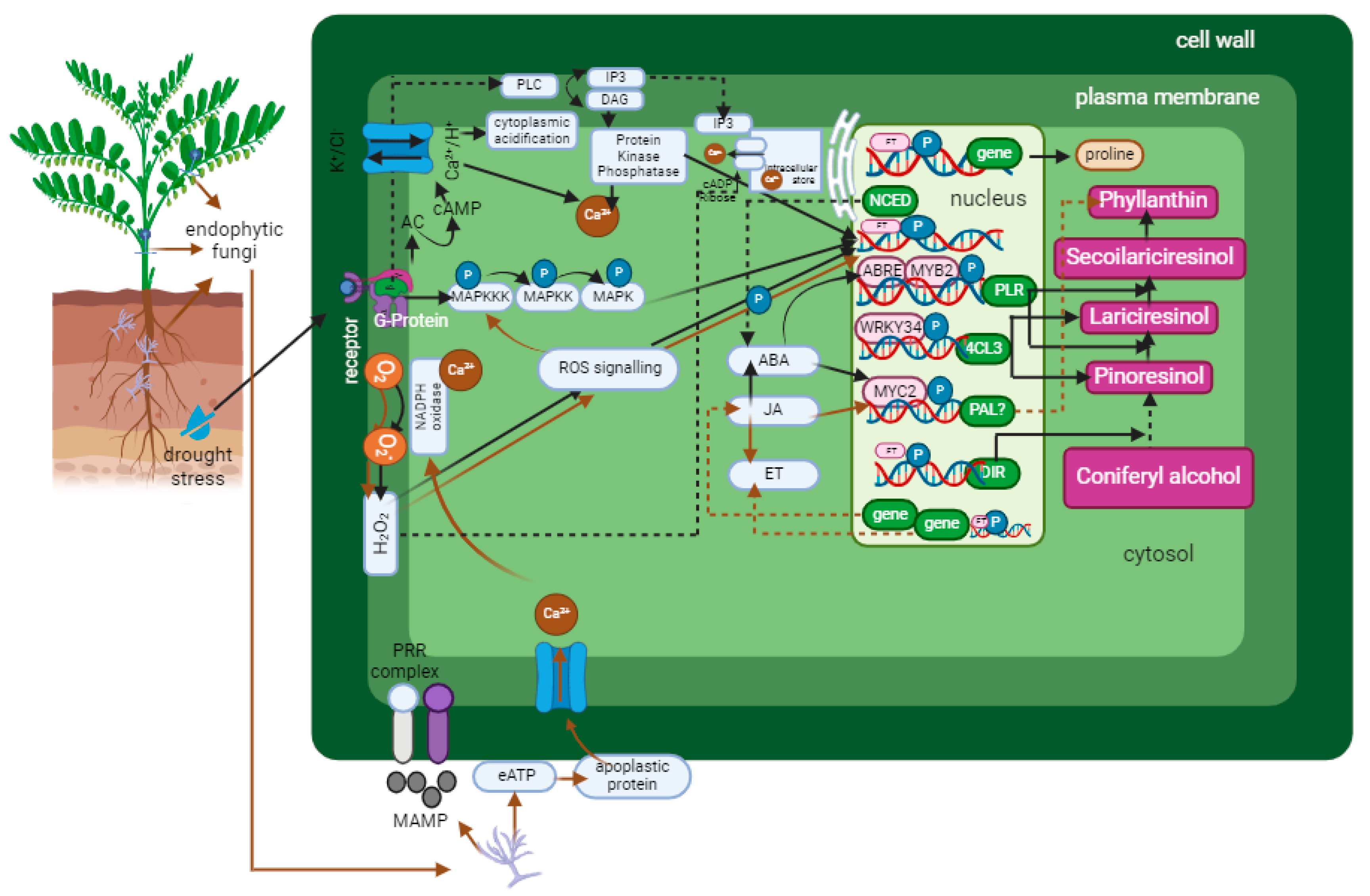 Horticulturae 10 00195 g005