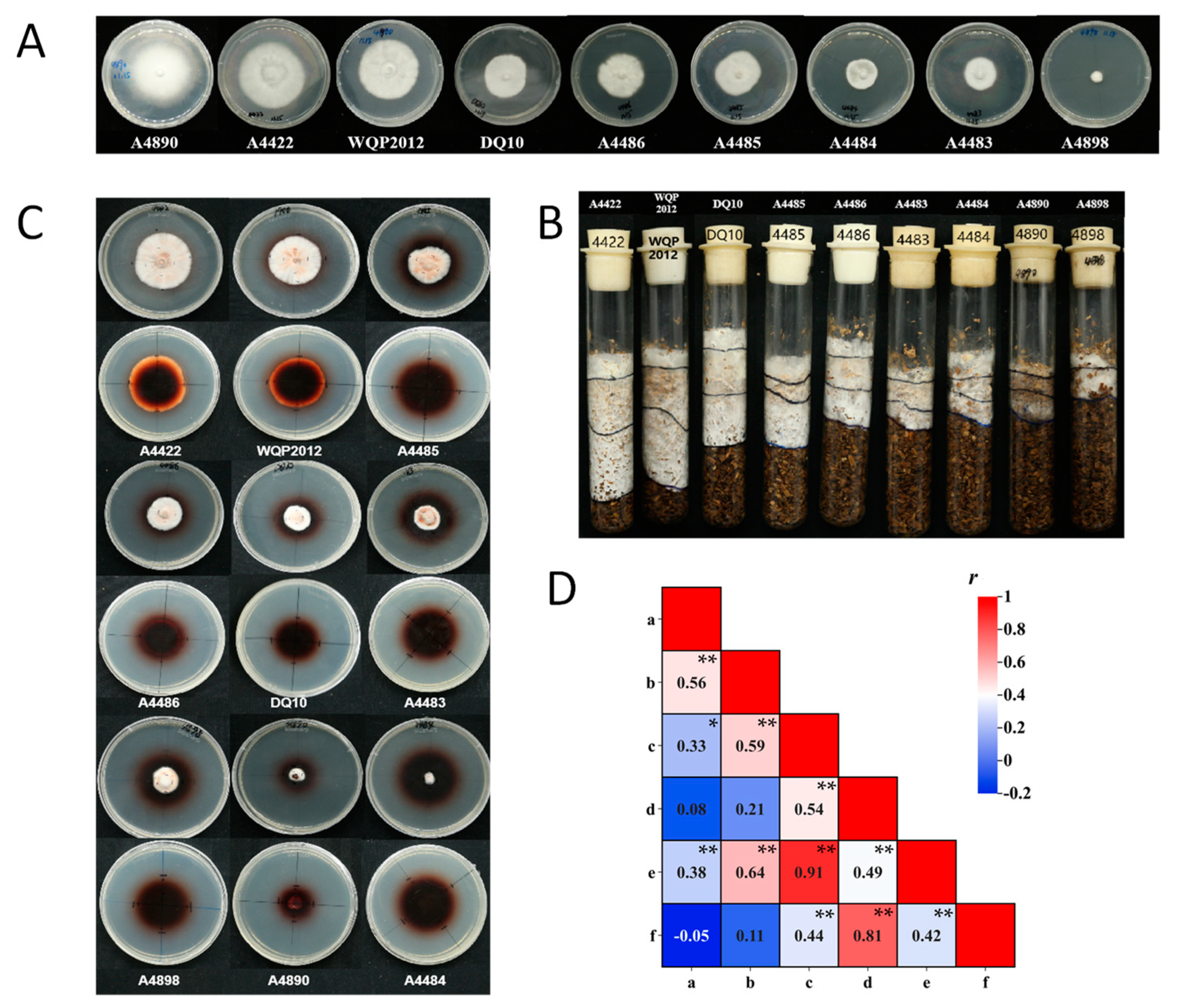Horticulturae 10 00213 g004