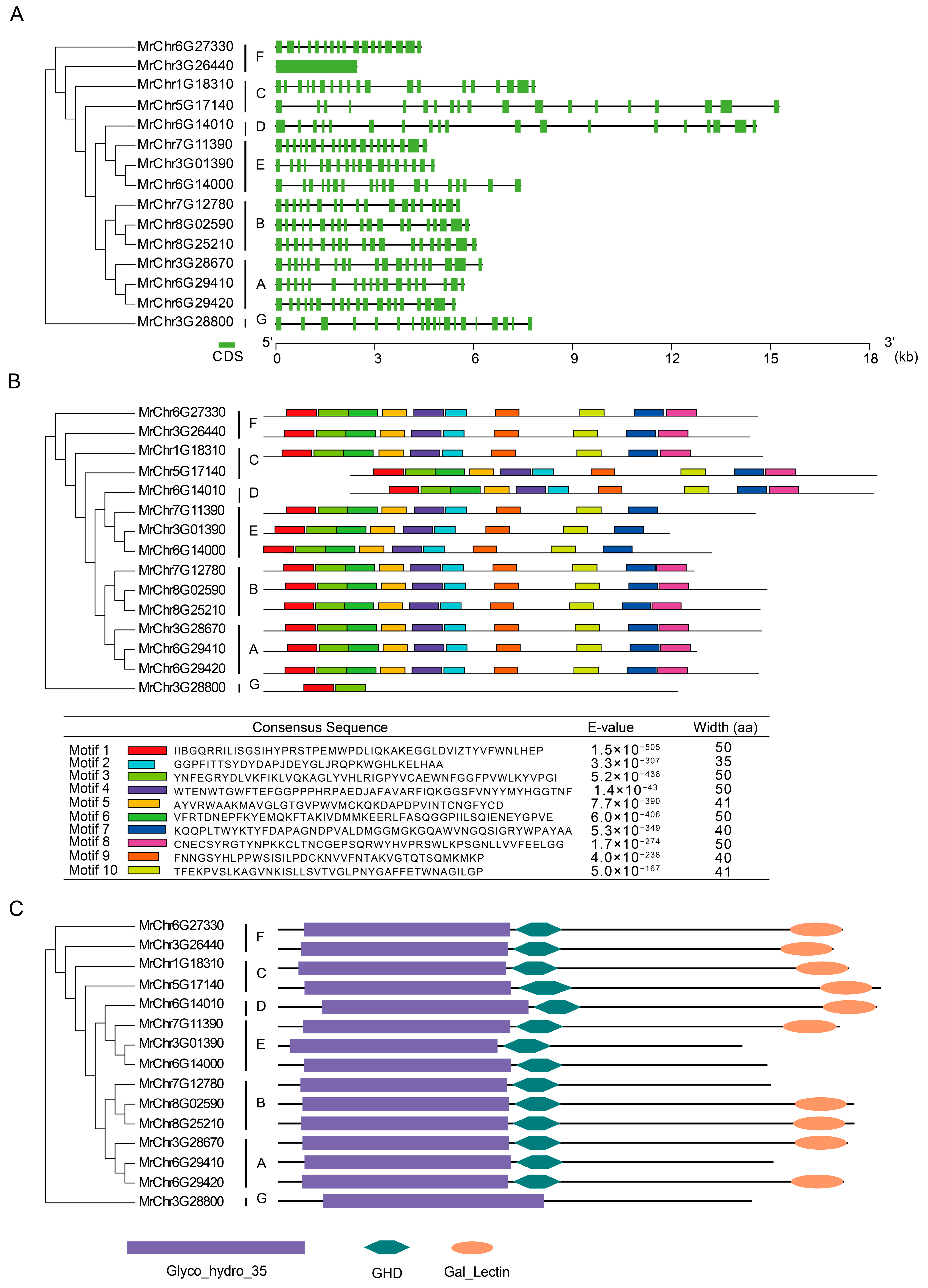Horticulturae 10 00225 g002
