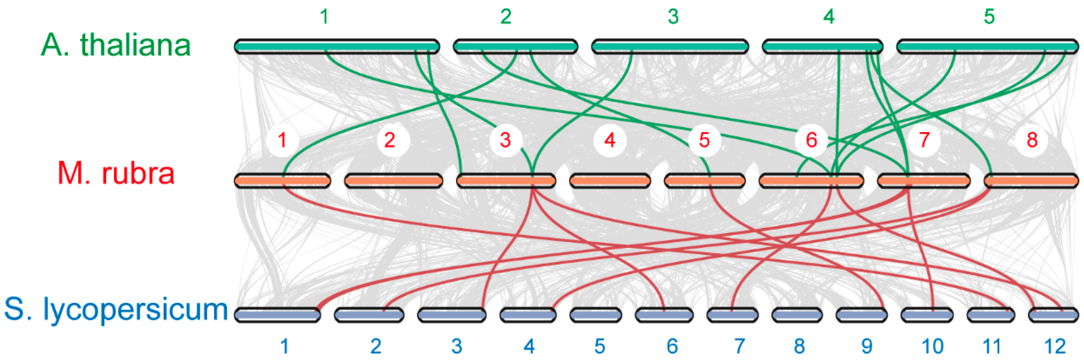 Horticulturae 10 00225 g004