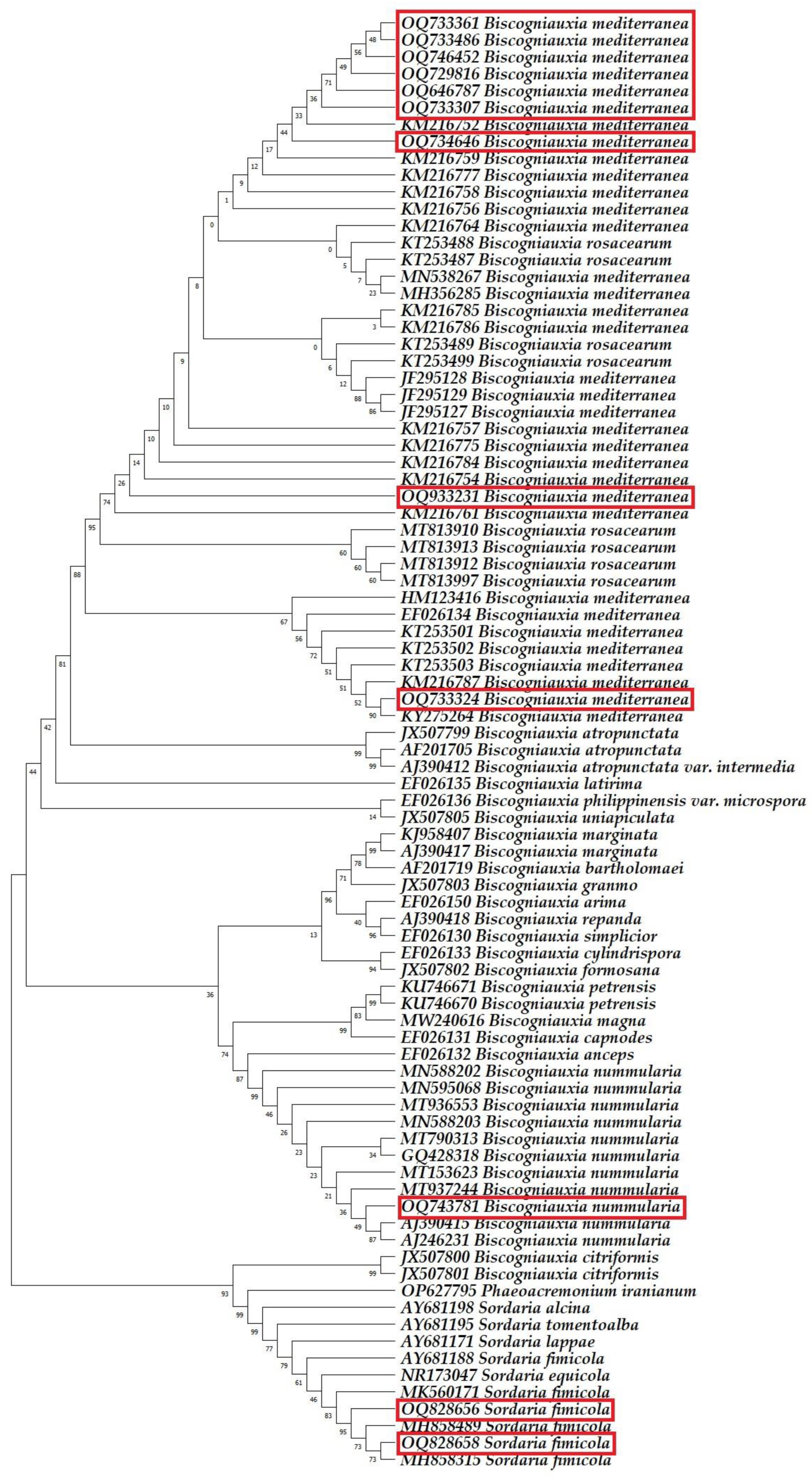 Horticulturae 10 00243 g004