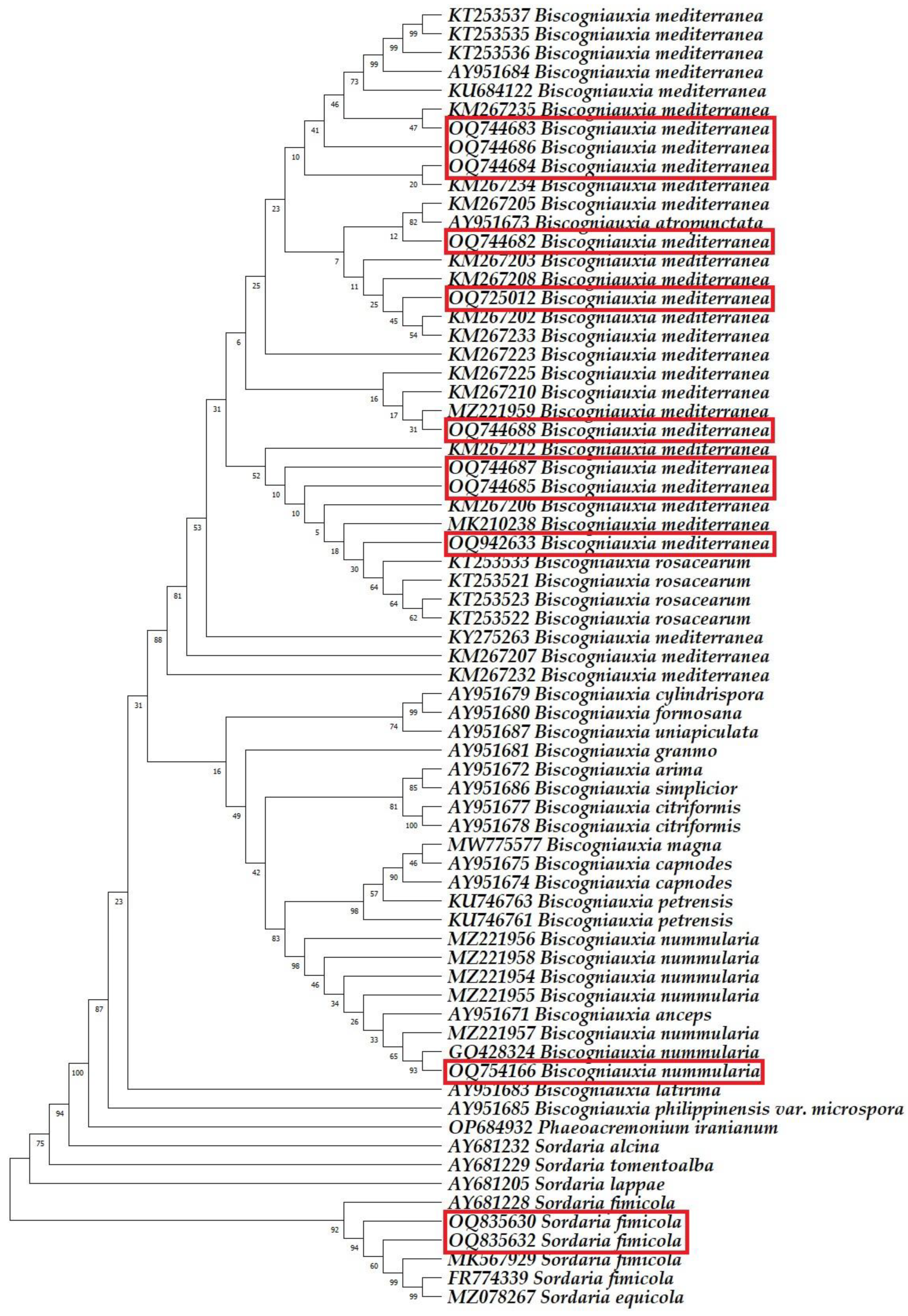 Horticulturae 10 00243 g005