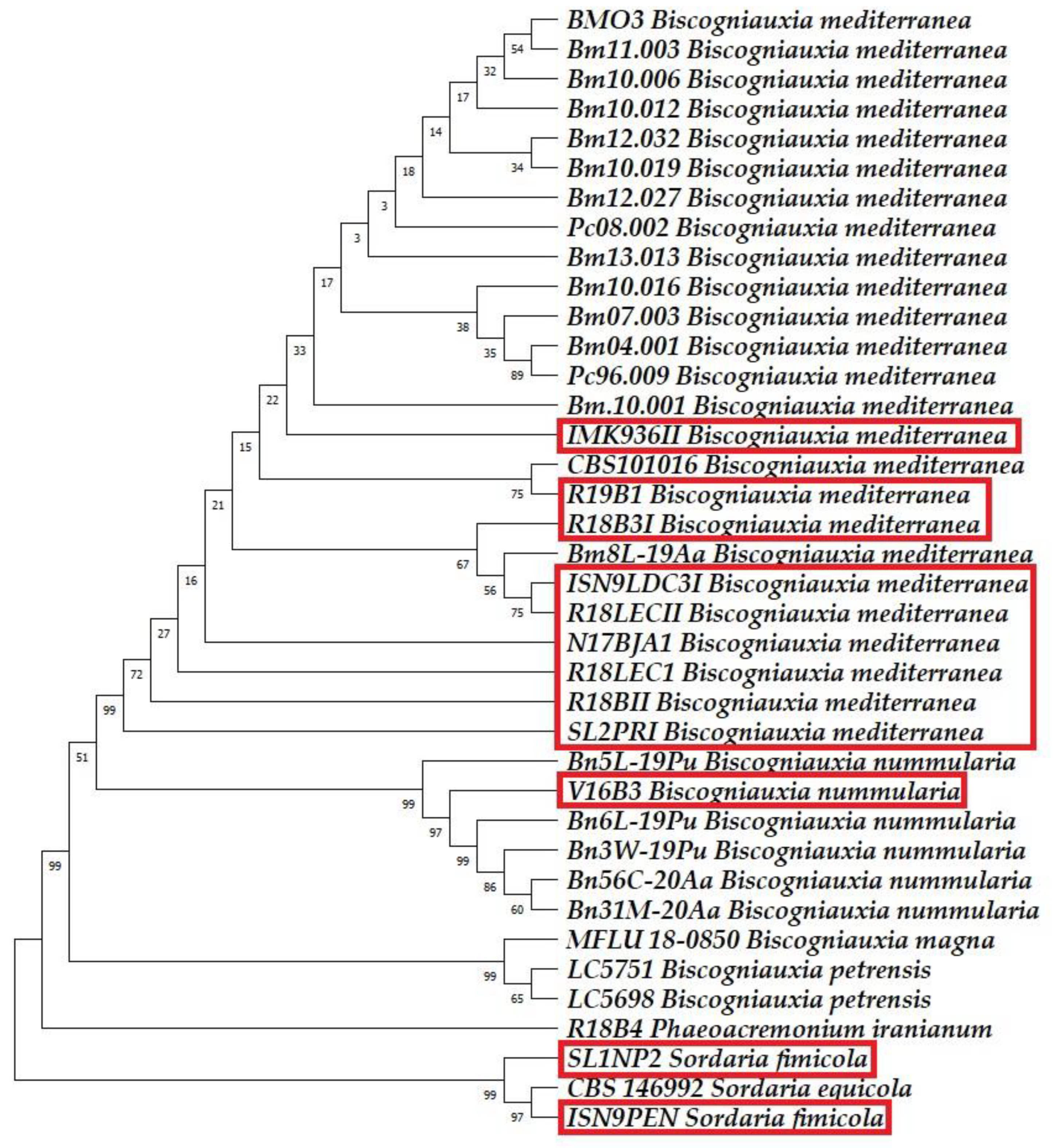 Horticulturae 10 00243 g007