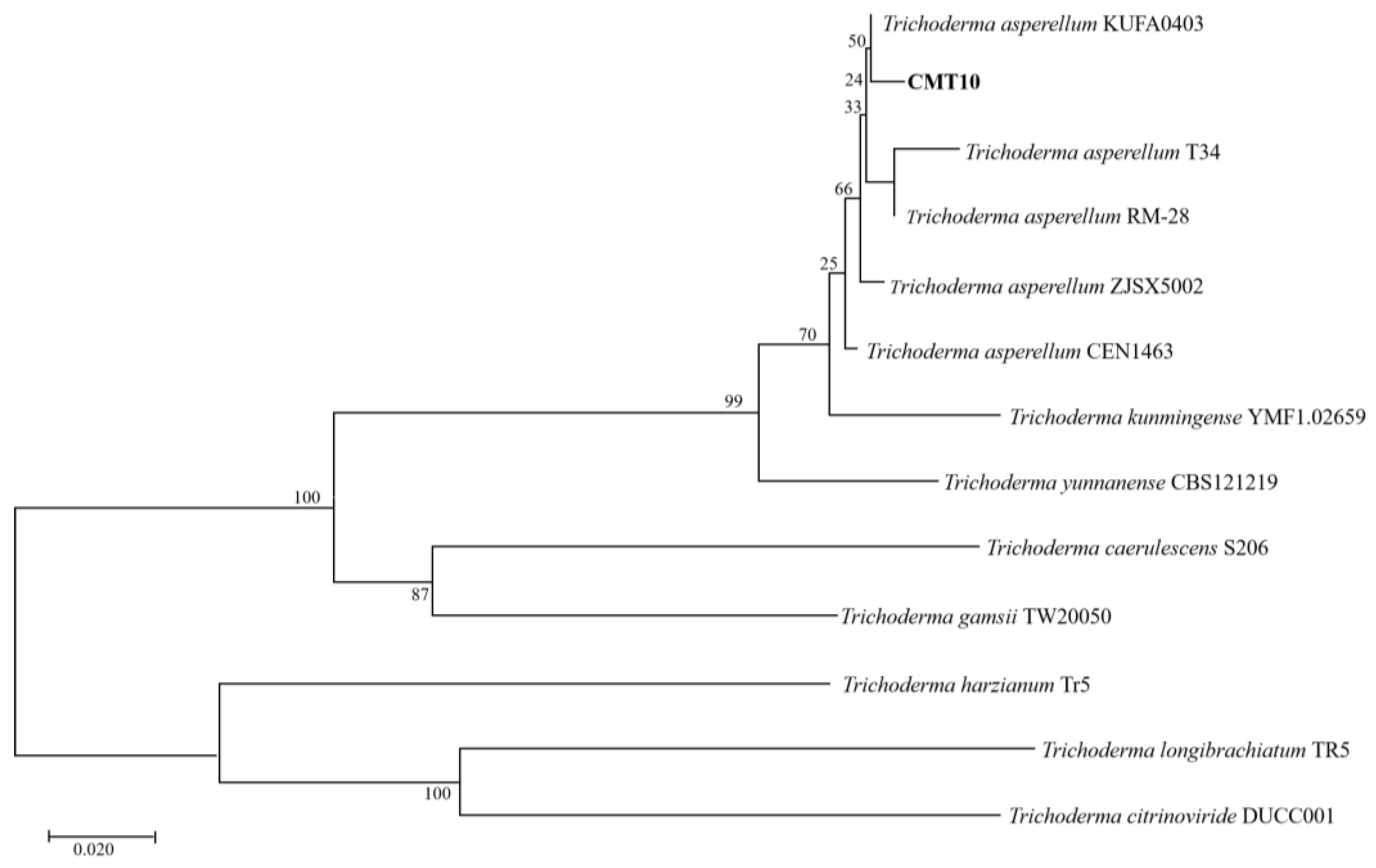 Horticulturae 10 00246 g003