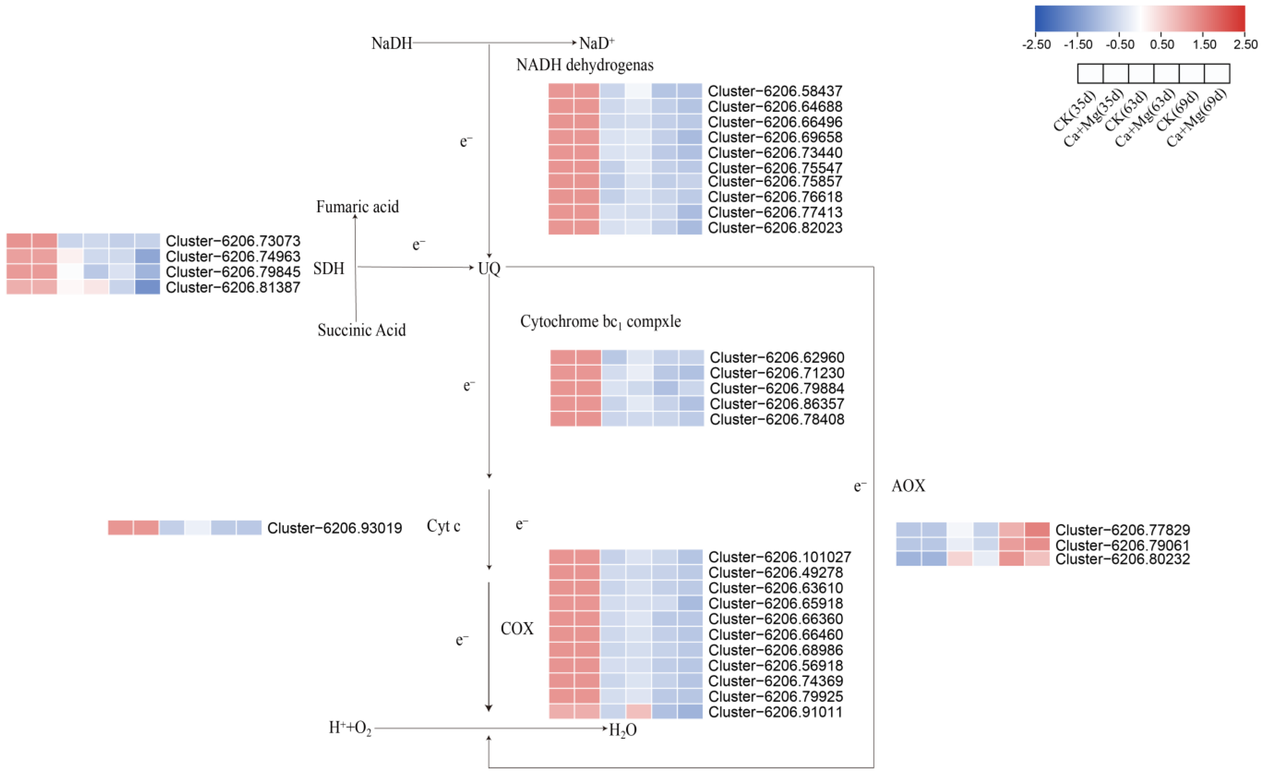 Horticulturae 10 00248 g006