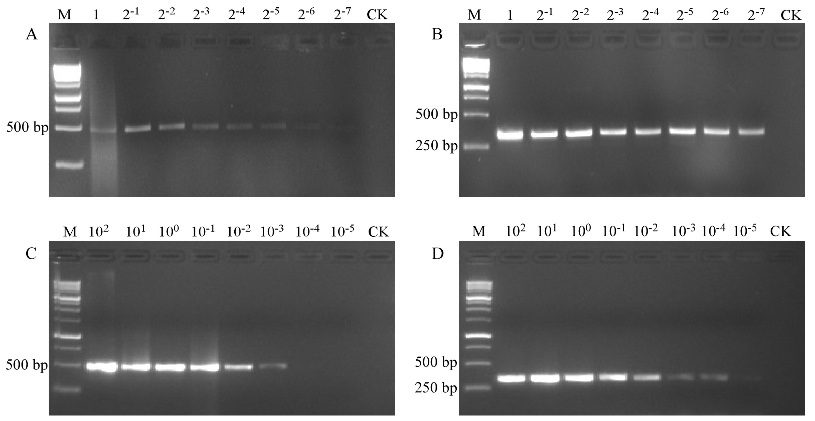 Horticulturae 10 00250 g004