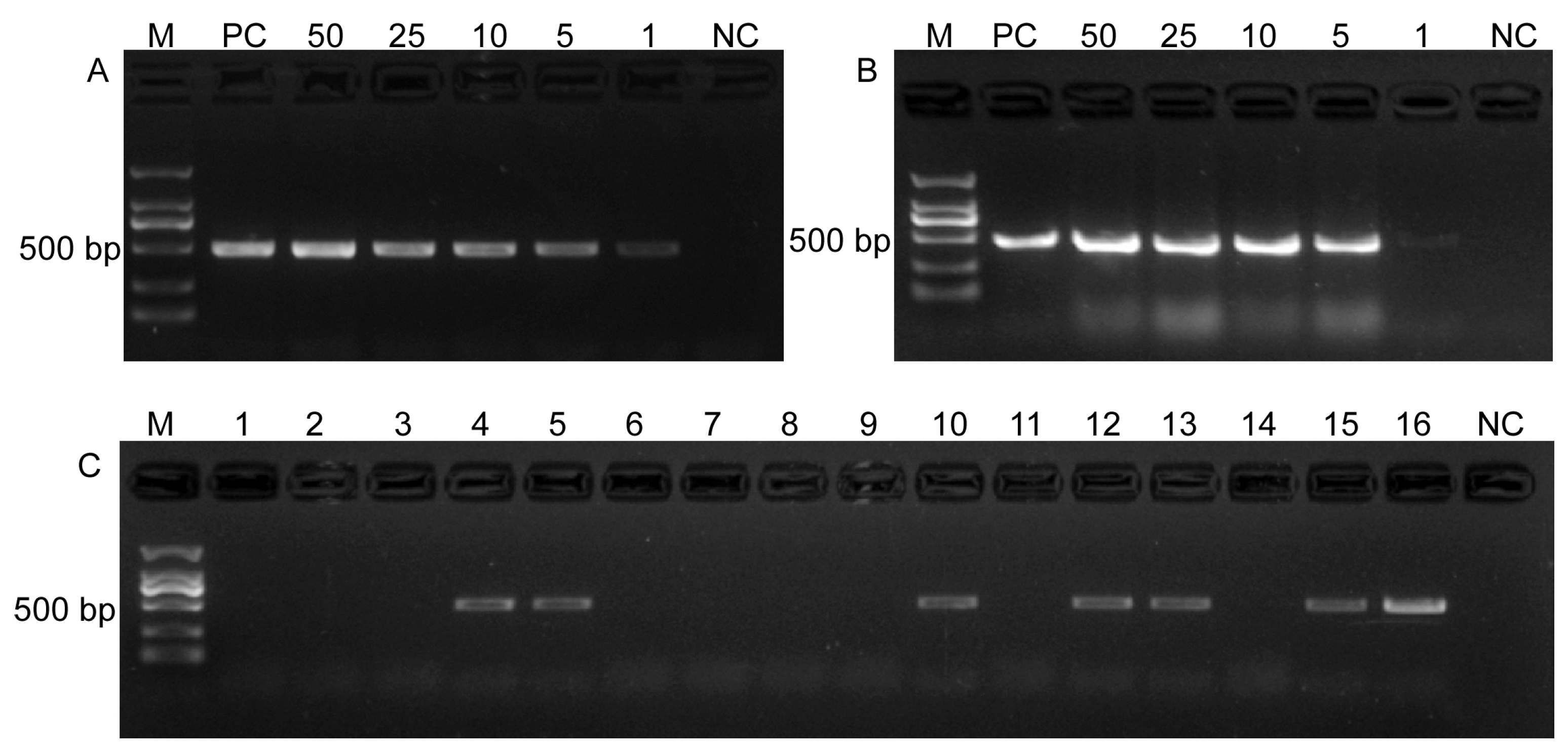 Horticulturae 10 00250 g006