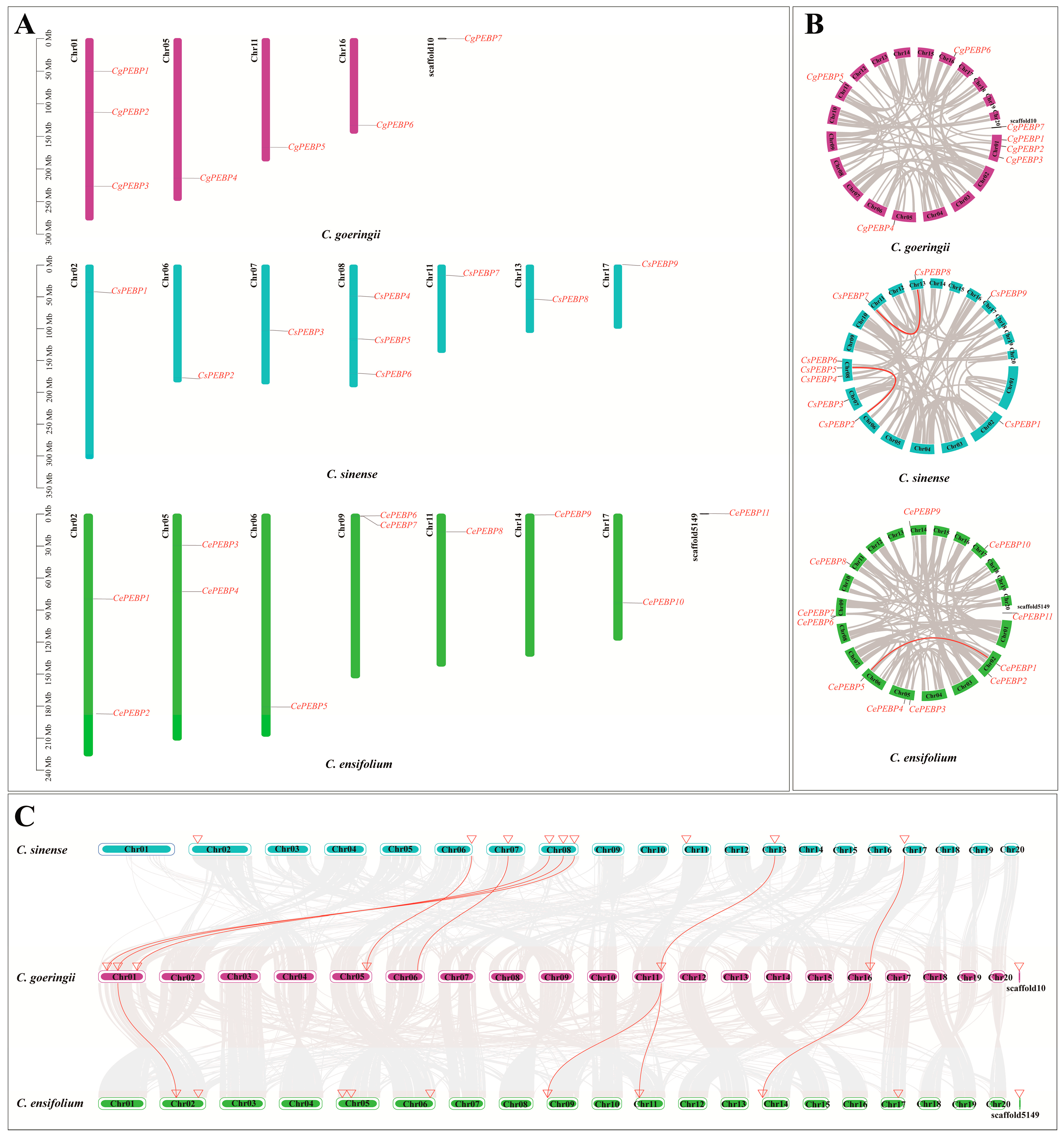 Horticulturae 10 00252 g001
