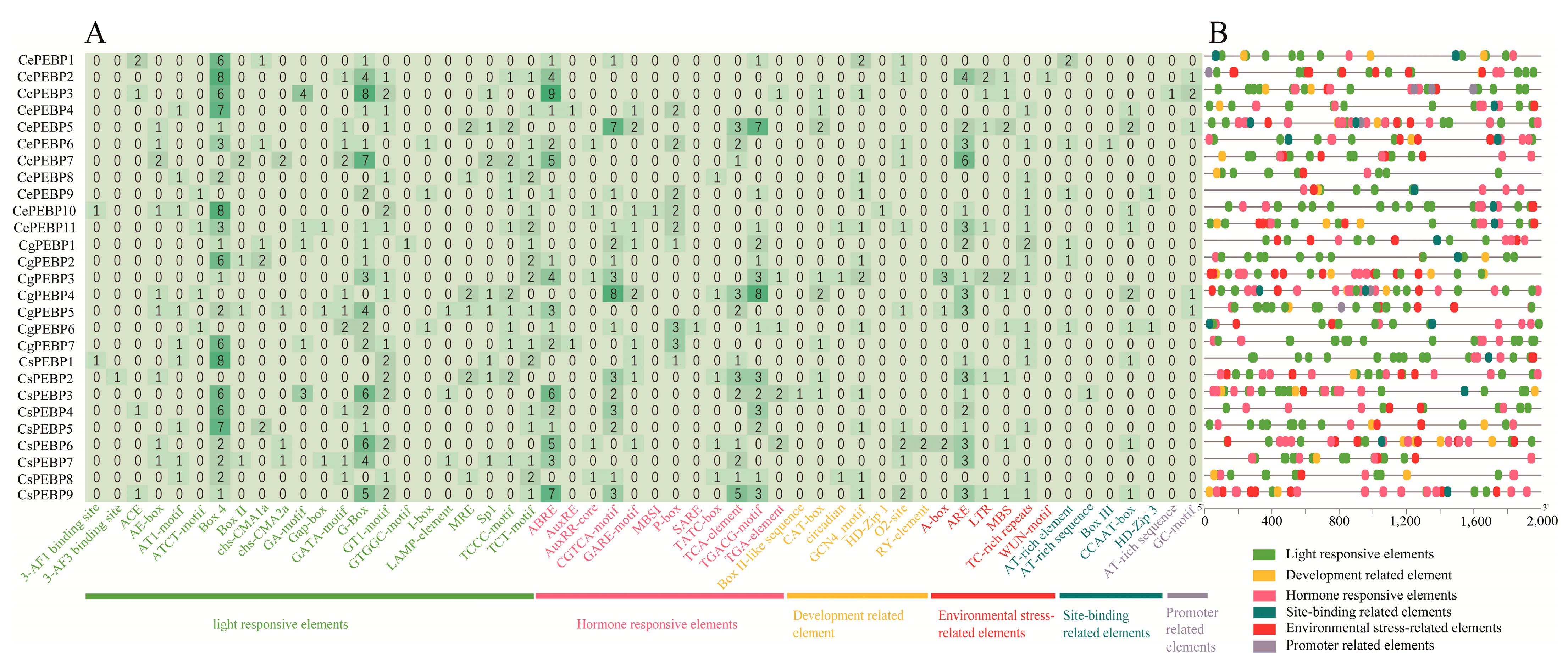 Horticulturae 10 00252 g004