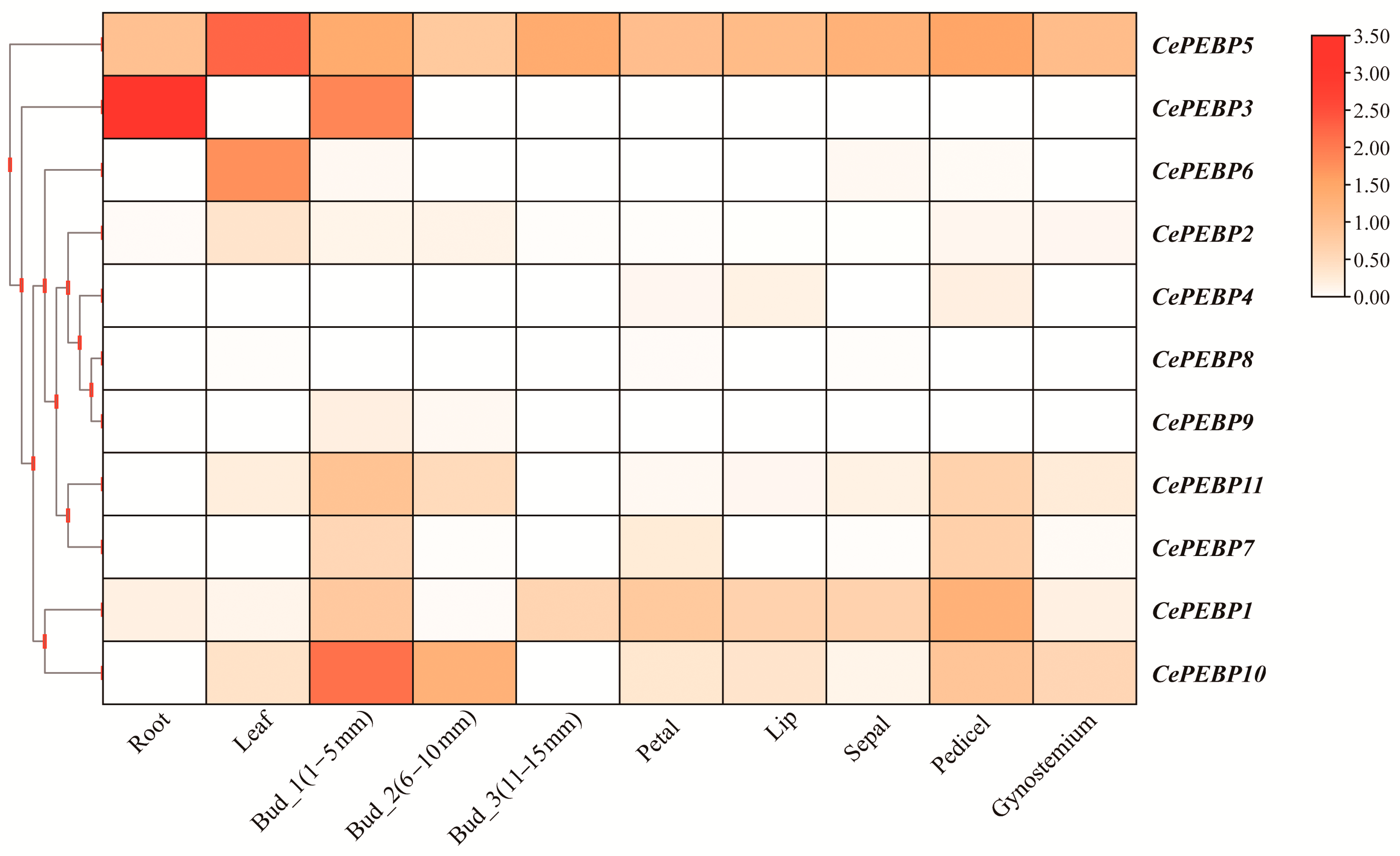 Horticulturae 10 00252 g005