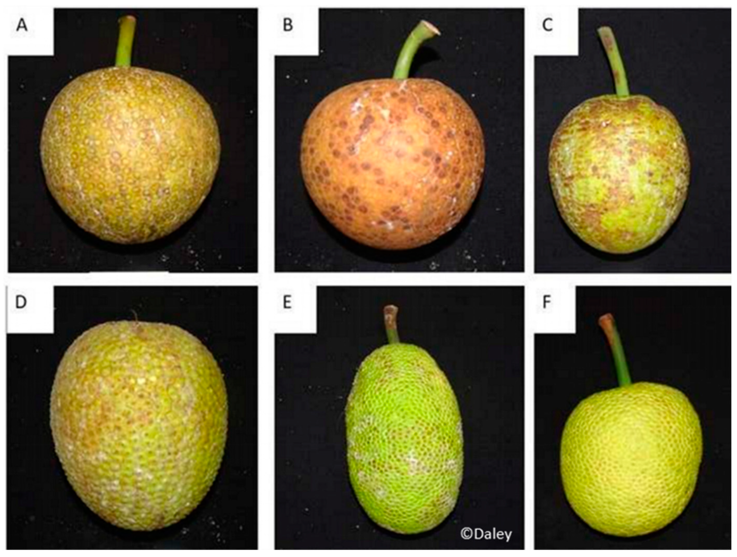 Horticulturae 10 00253 g002