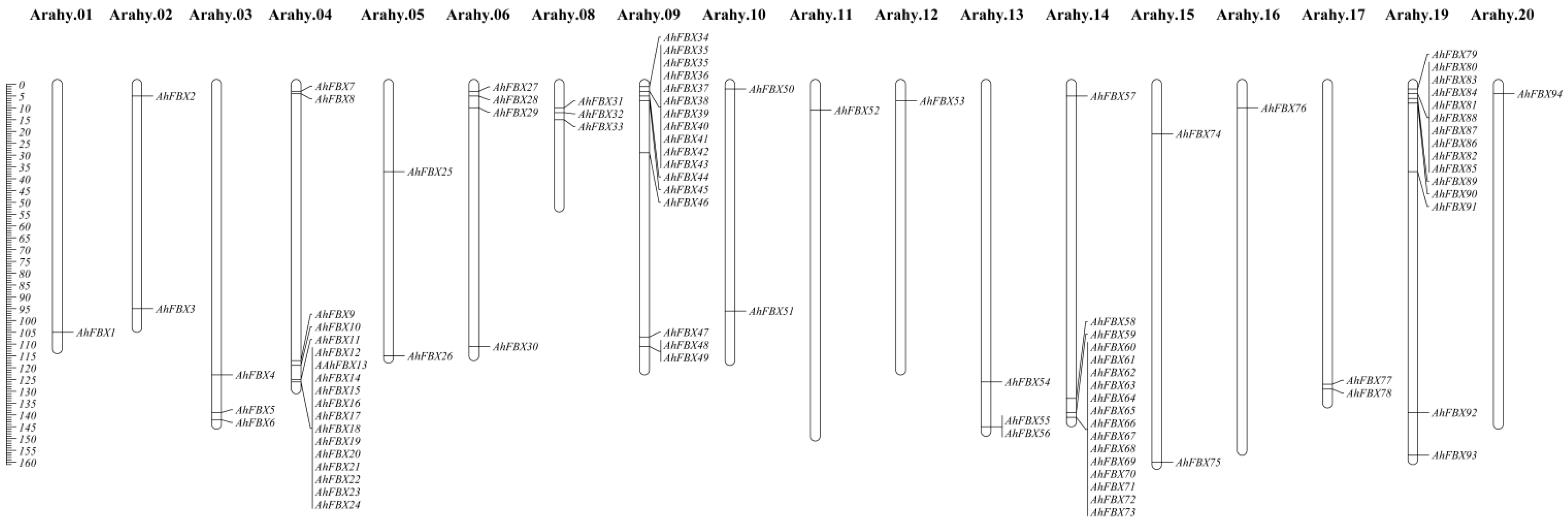 Horticulturae 10 00255 g001