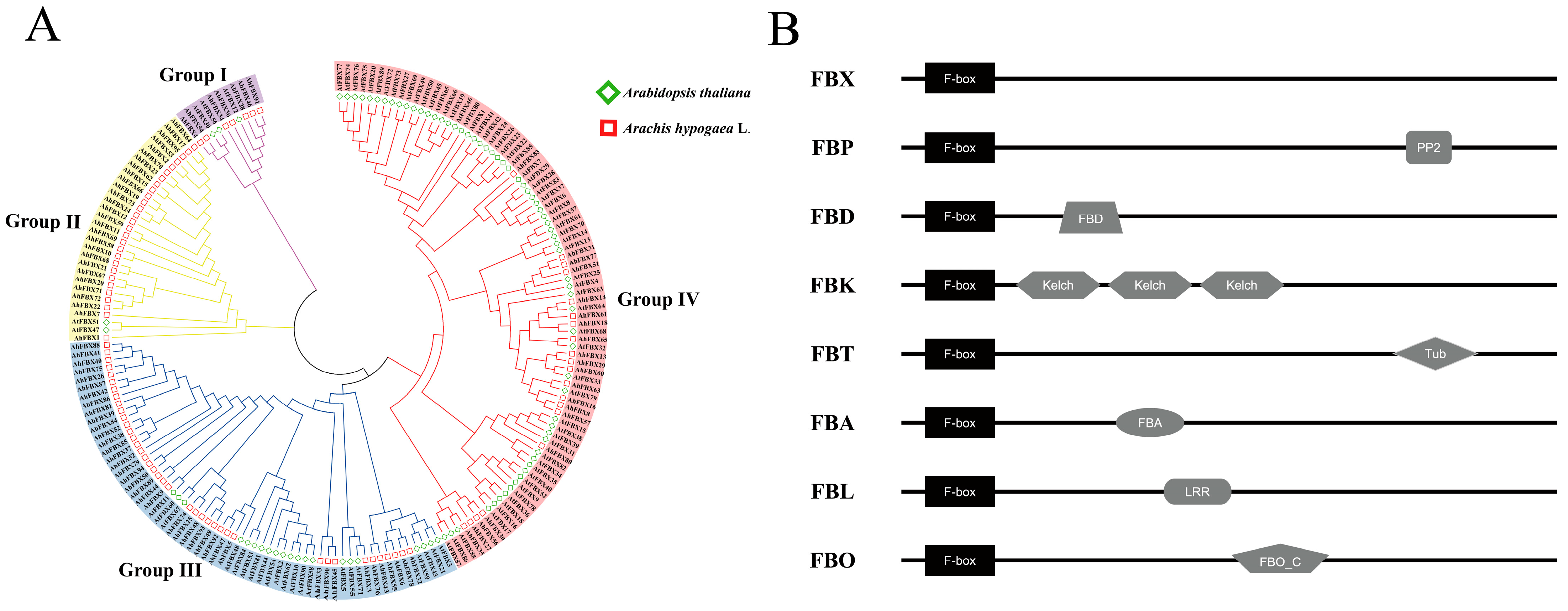 Horticulturae 10 00255 g002