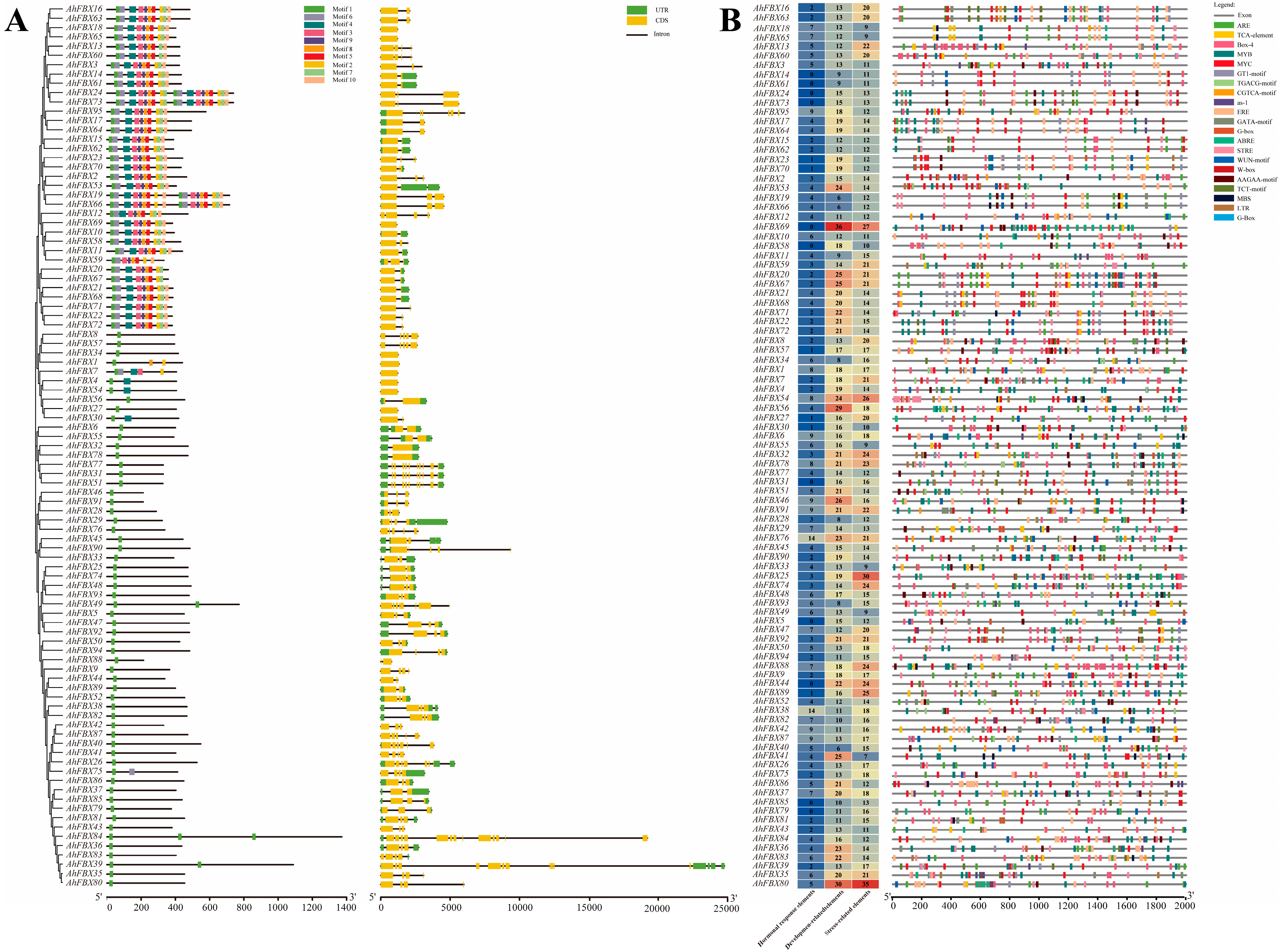 Horticulturae 10 00255 g003