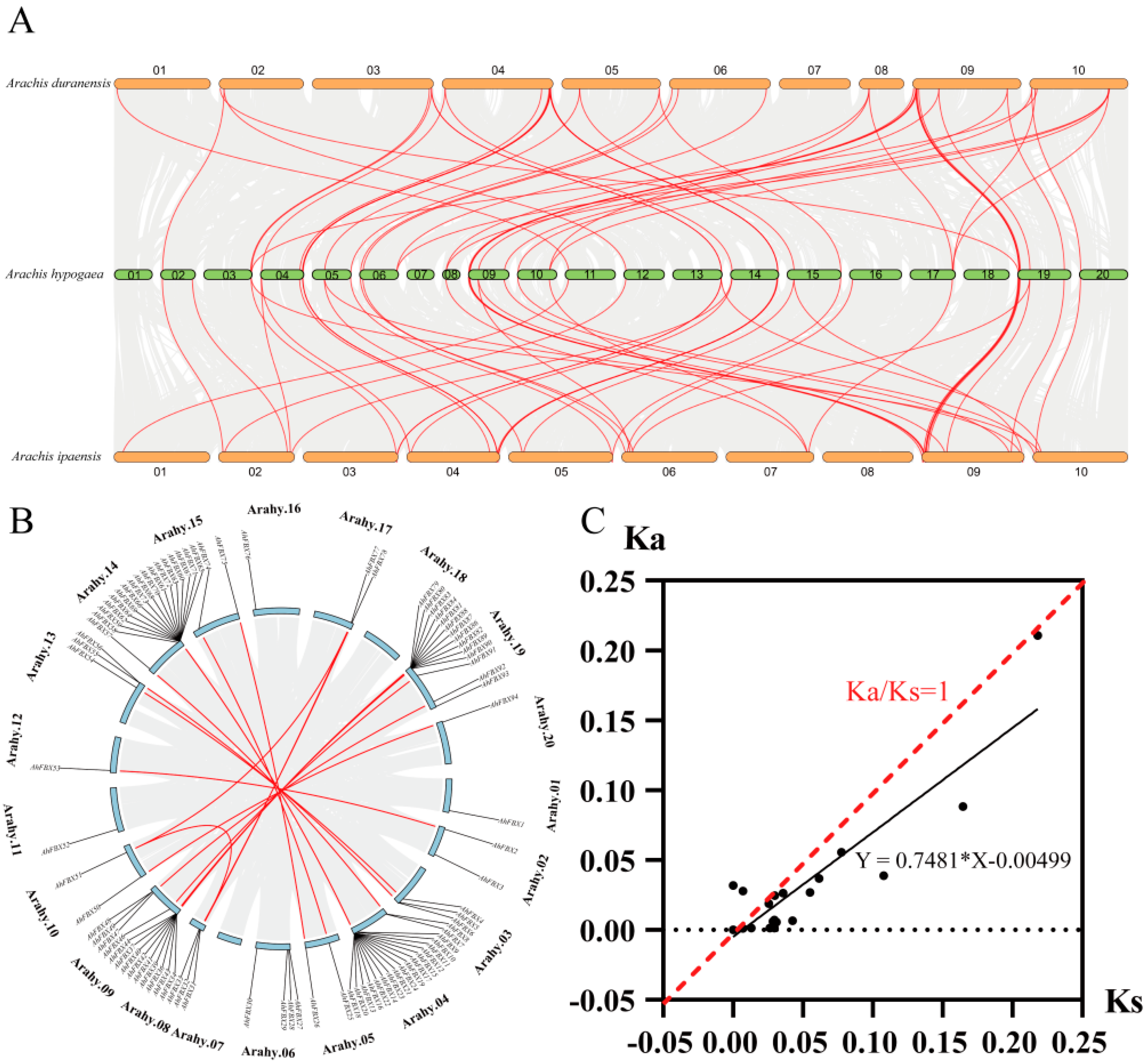 Horticulturae 10 00255 g004