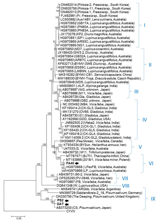 Horticulturae 10 00262 g002