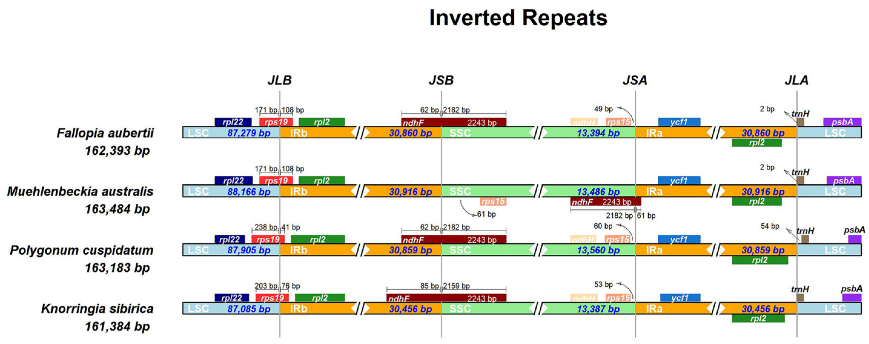 Horticulturae 10 00268 g004
