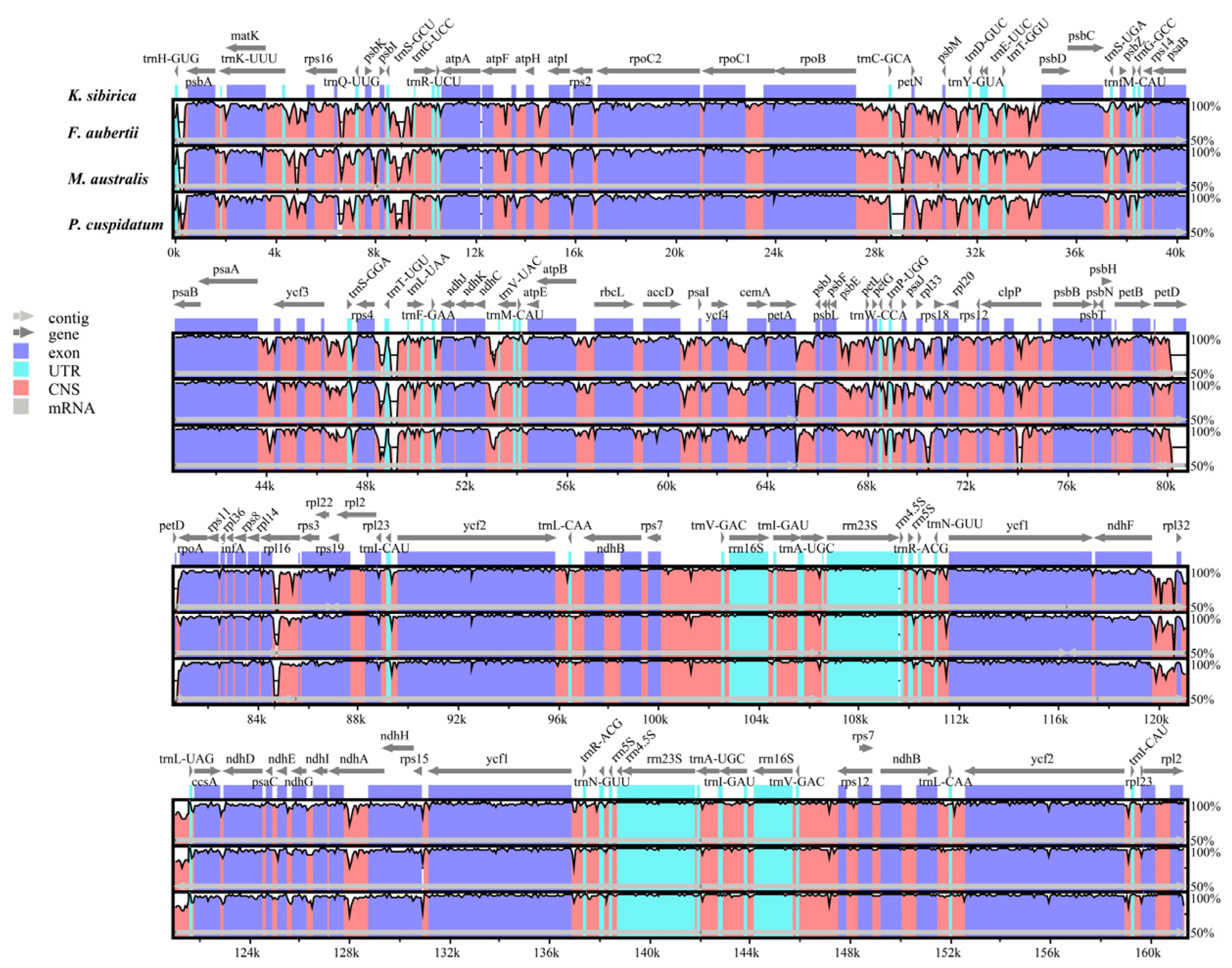 Horticulturae 10 00268 g005
