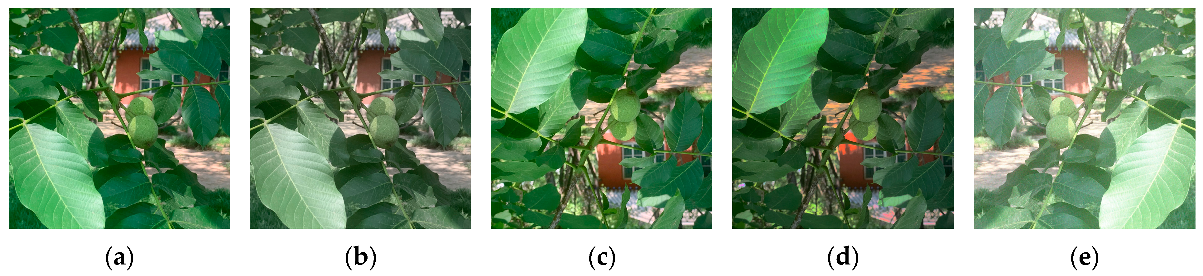 Horticulturae 10 00275 g002