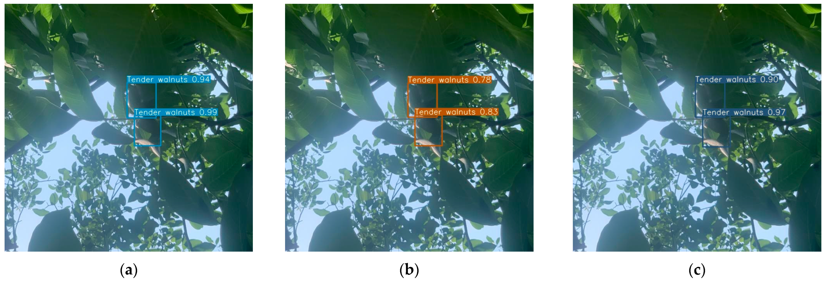 Horticulturae 10 00275 g010