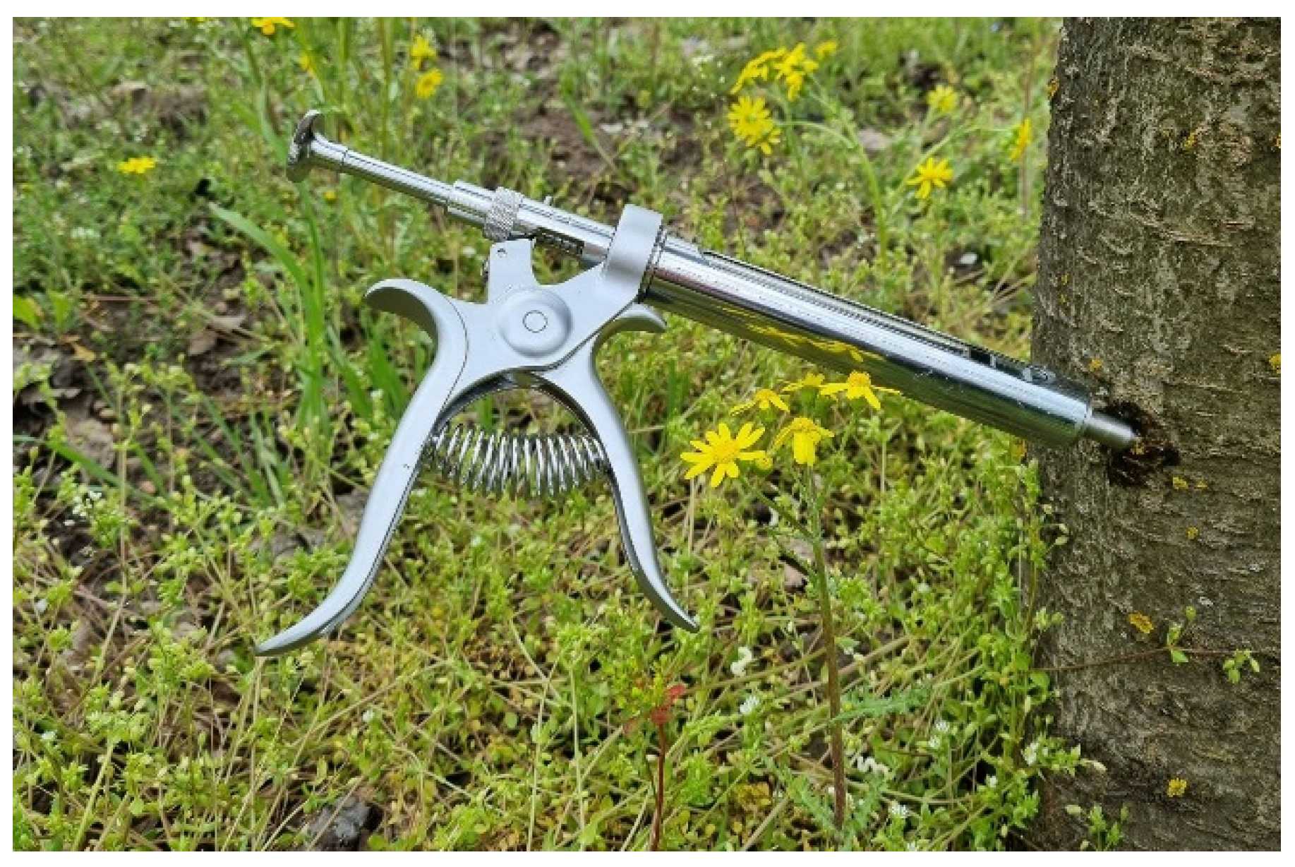 Horticulturae 10 00278 g001