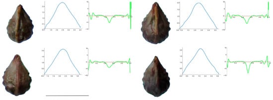 Horticulturae 10 00285 g0a1
