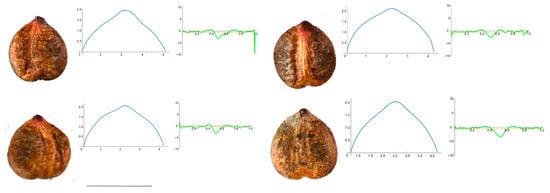 Horticulturae 10 00285 g0a2