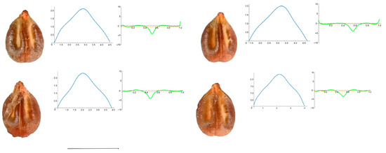 Horticulturae 10 00285 g0a3