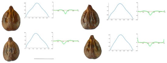 Horticulturae 10 00285 g0a4