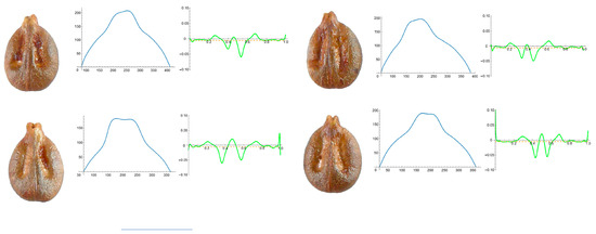 Horticulturae 10 00285 g0a6
