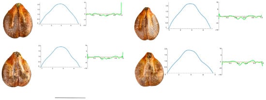 Horticulturae 10 00285 g0a7