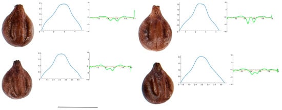 Horticulturae 10 00285 g0a8
