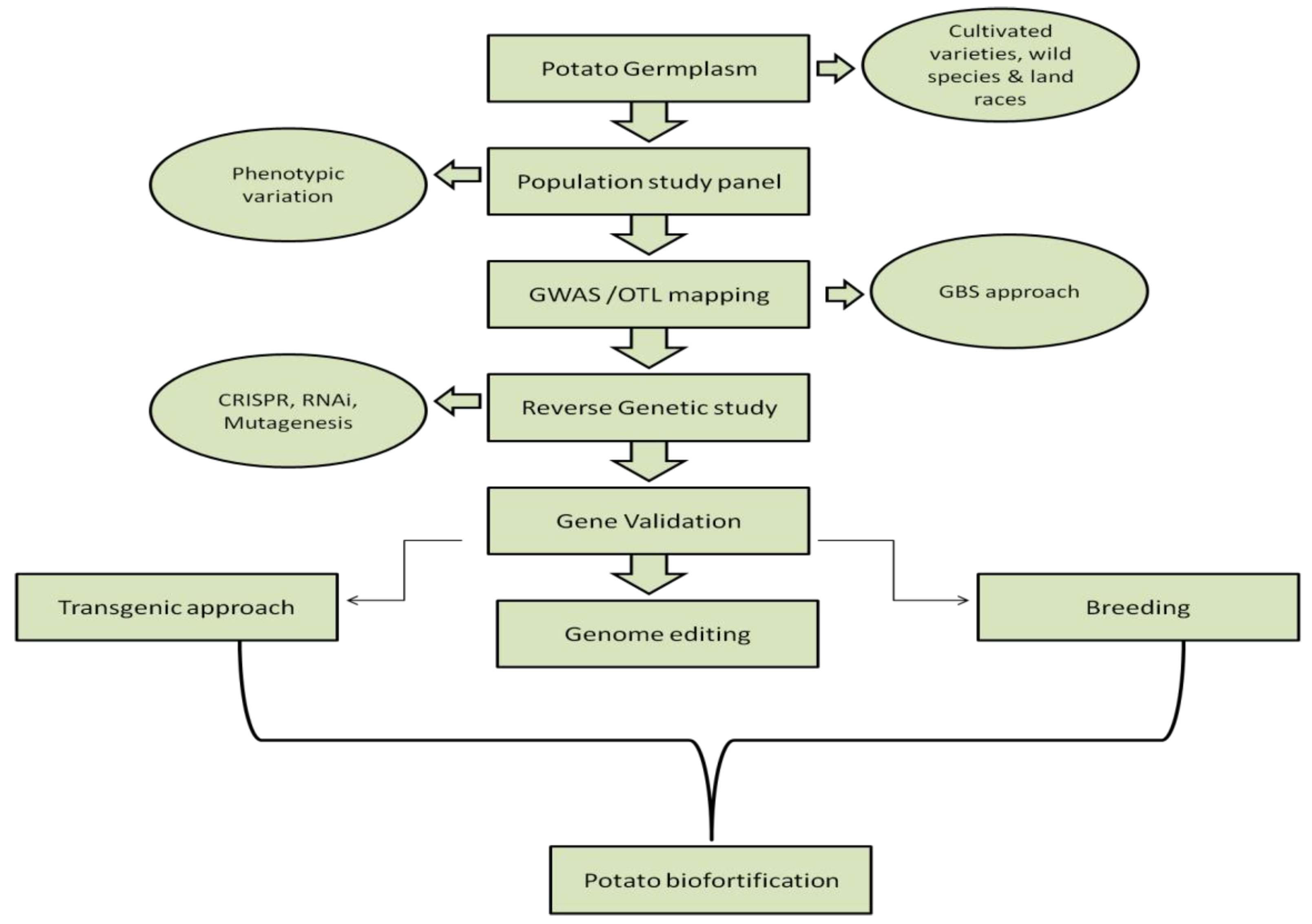 Horticulturae 10 00292 g001