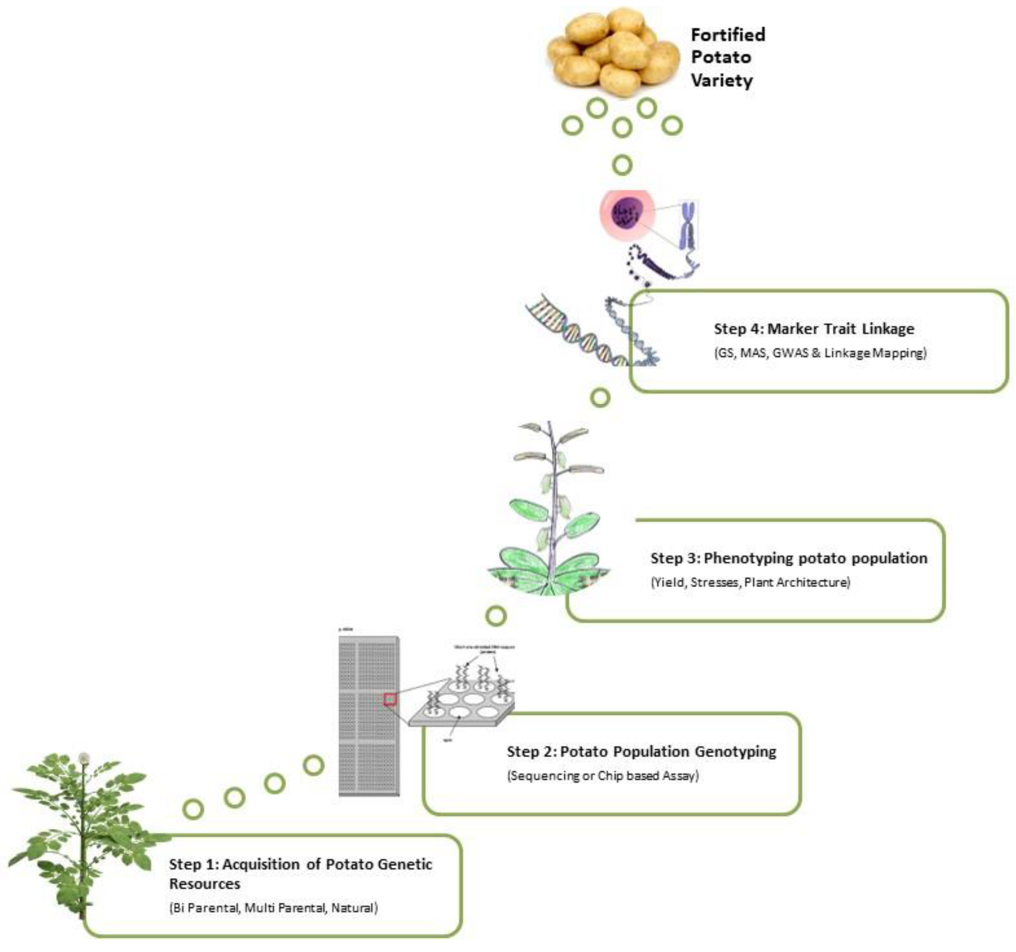 Horticulturae 10 00292 g004