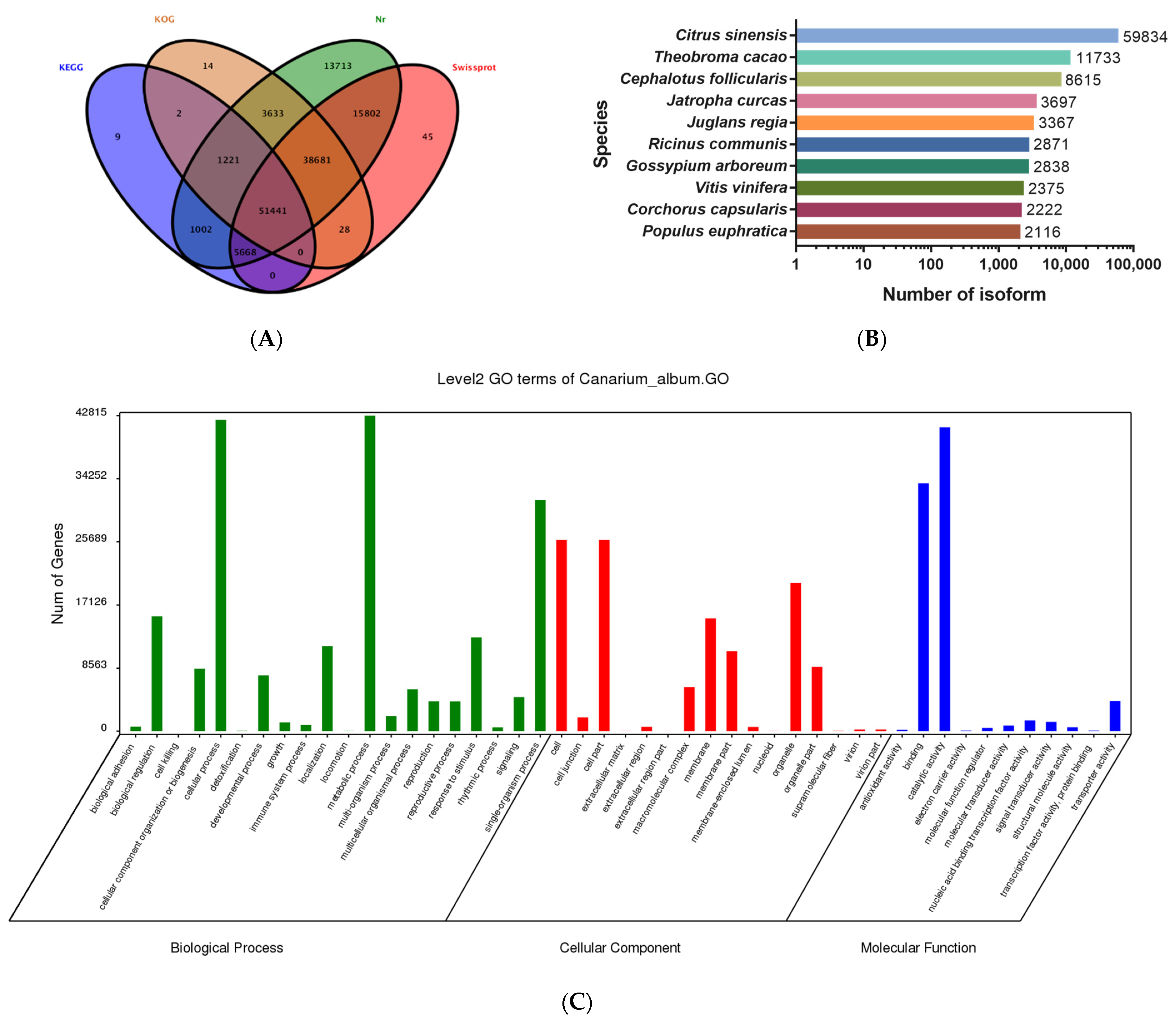 Horticulturae 10 00293 g002a