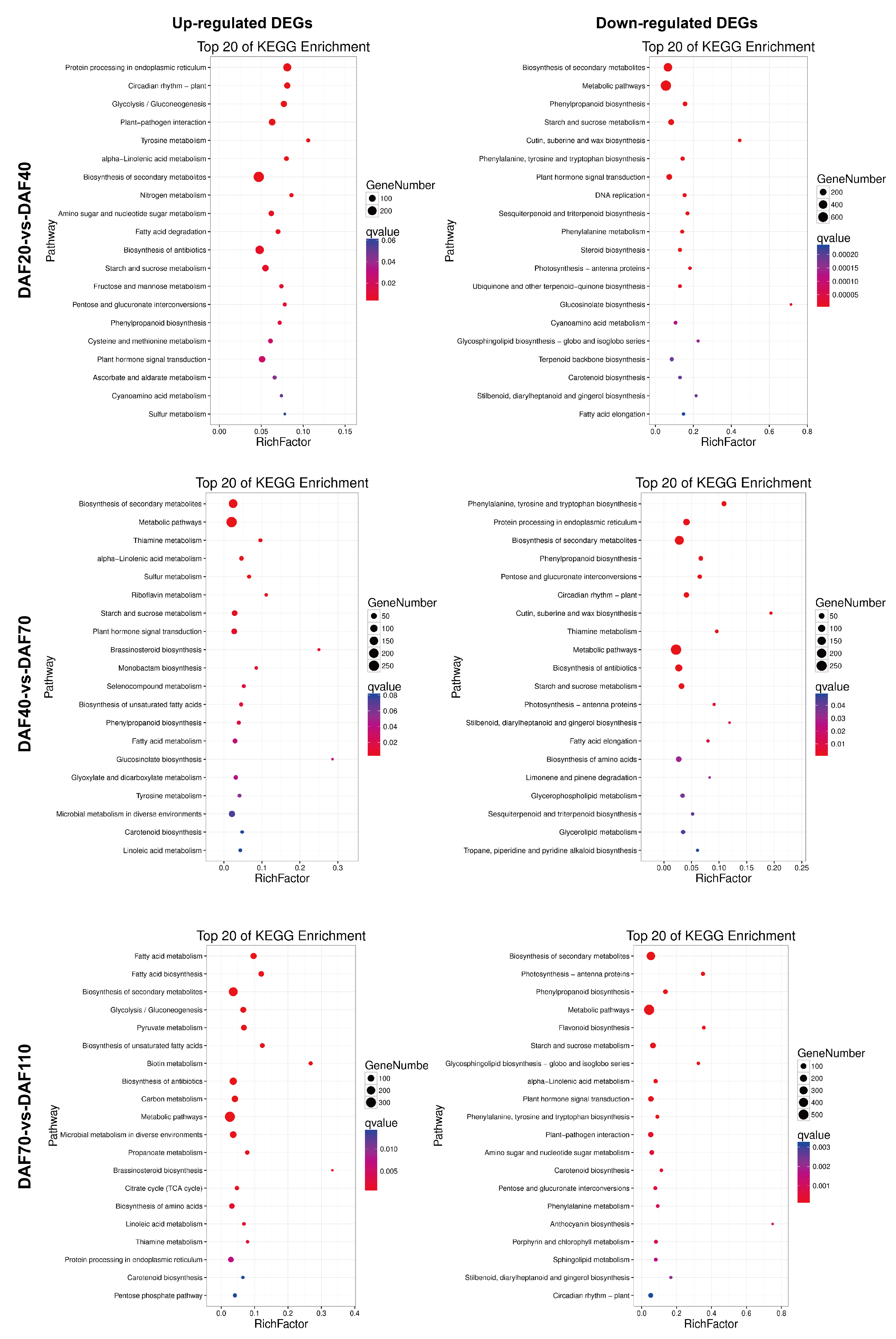 Horticulturae 10 00293 g005