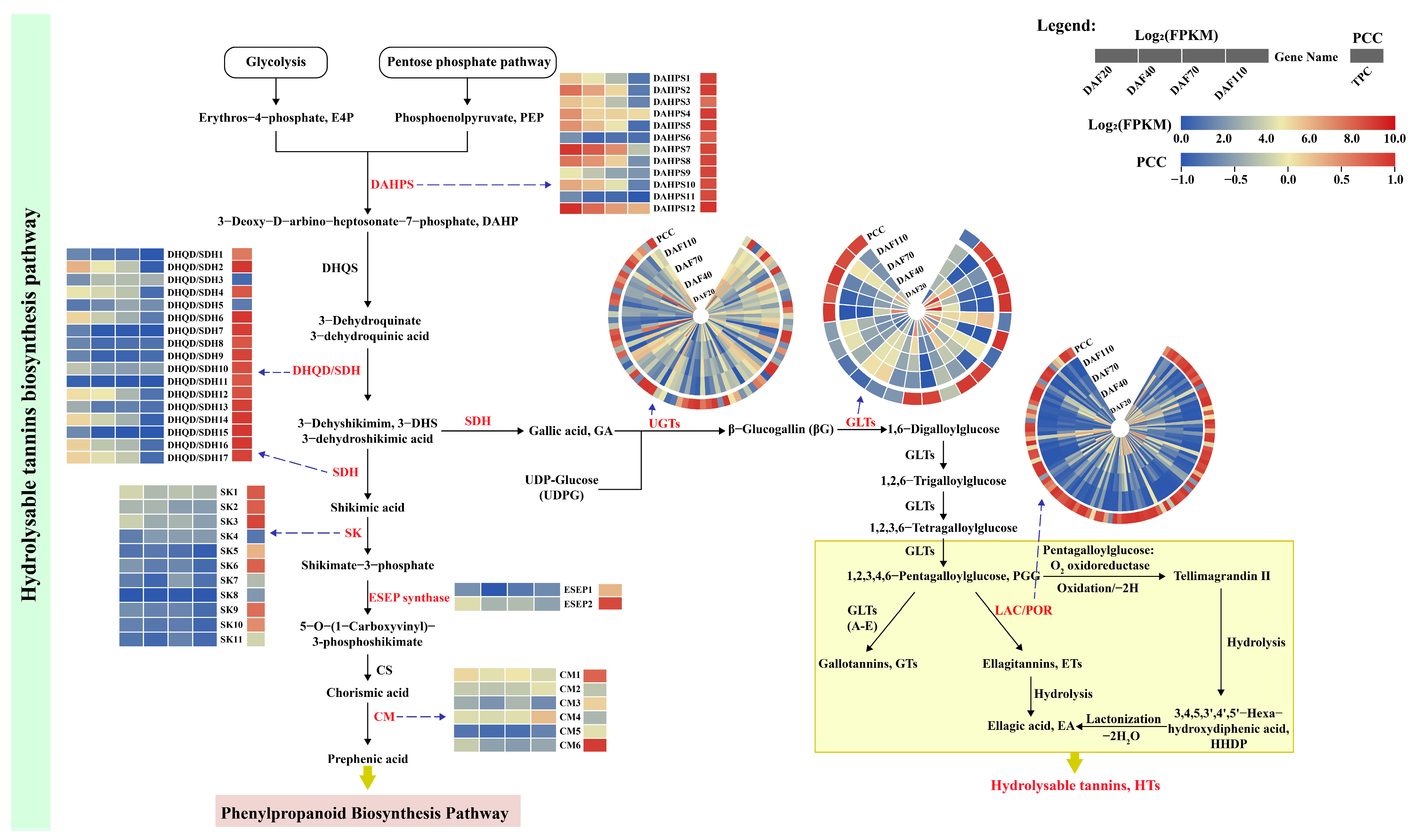 Horticulturae 10 00293 g006