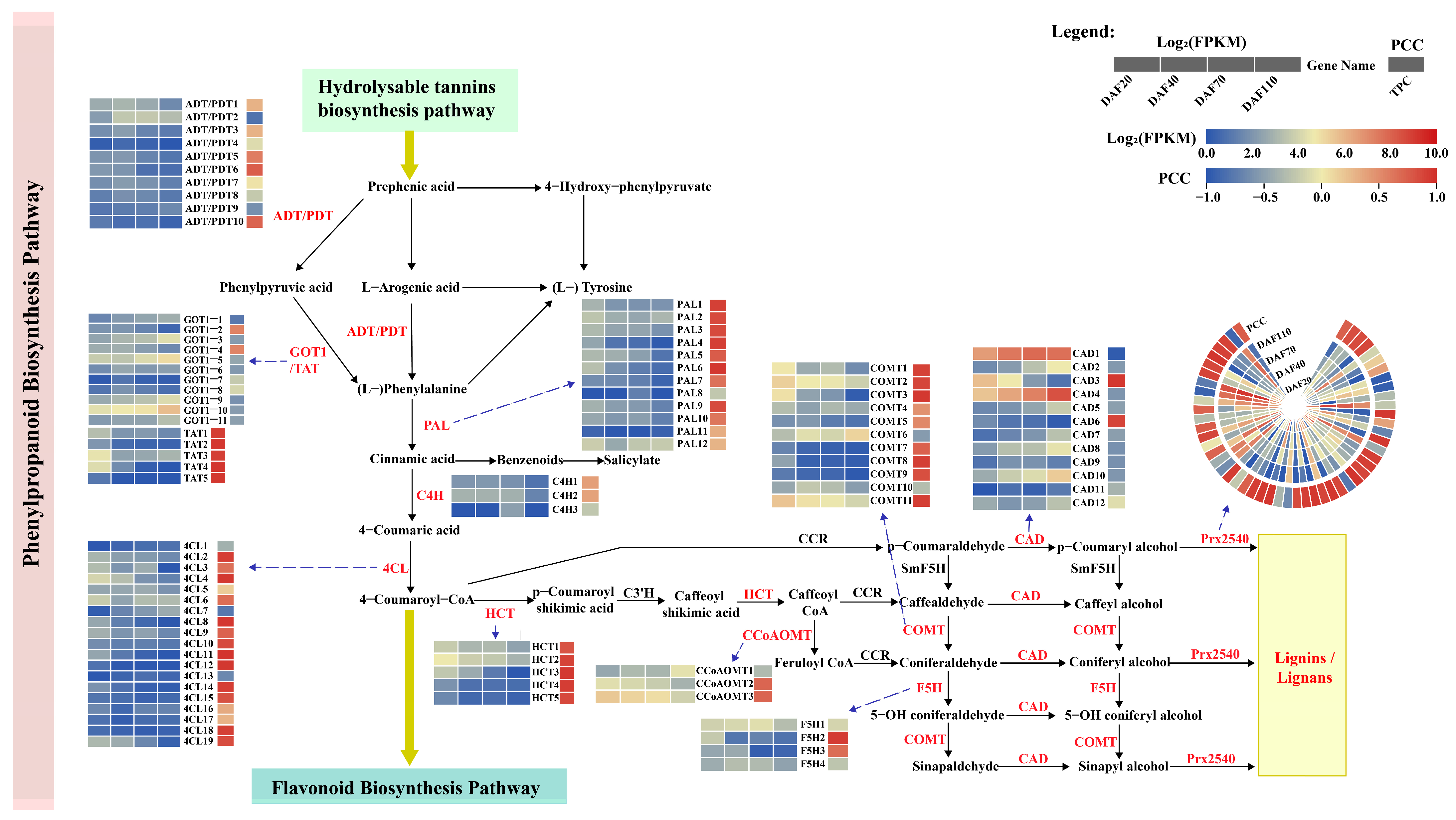 Horticulturae 10 00293 g007