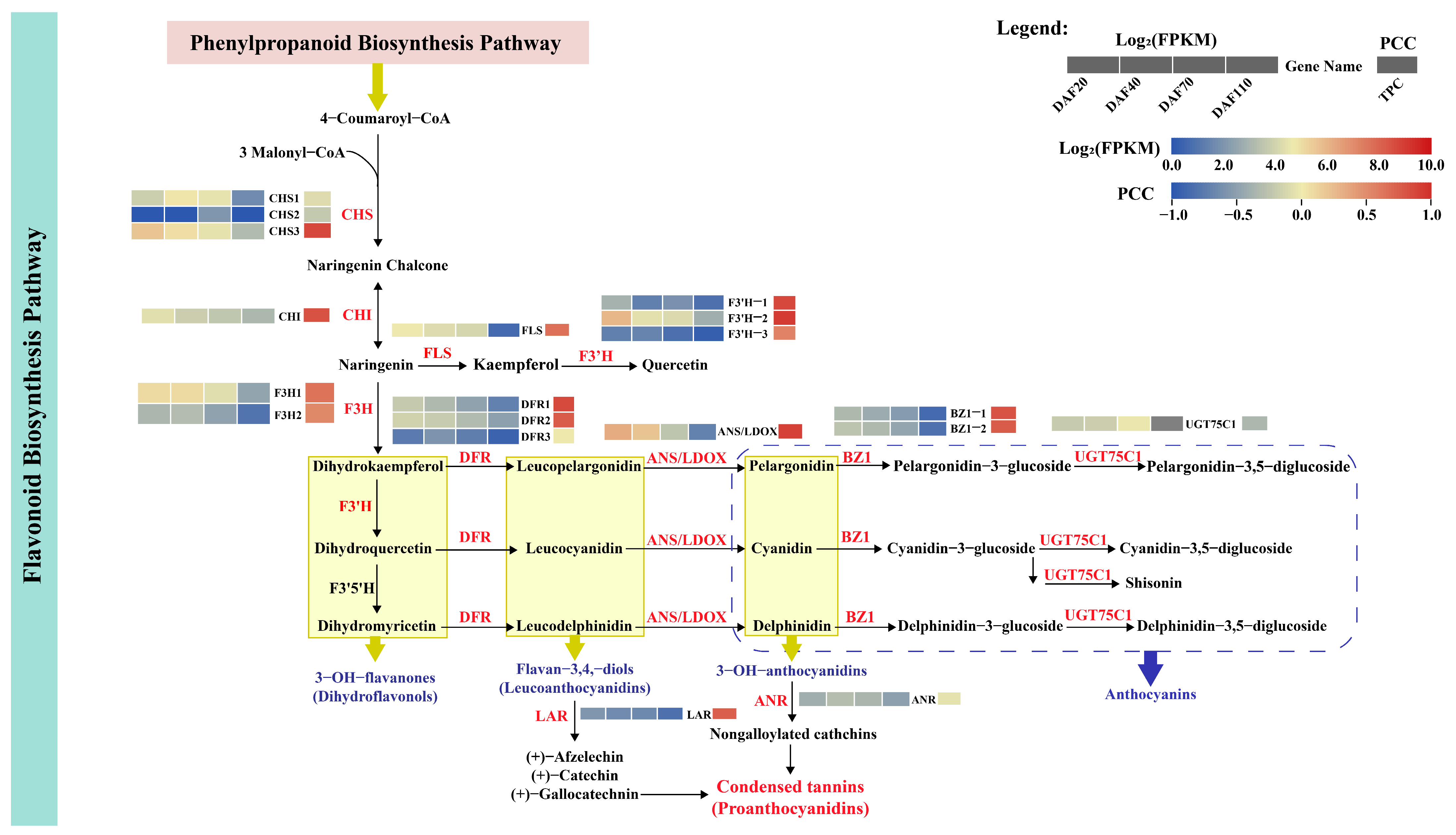Horticulturae 10 00293 g008