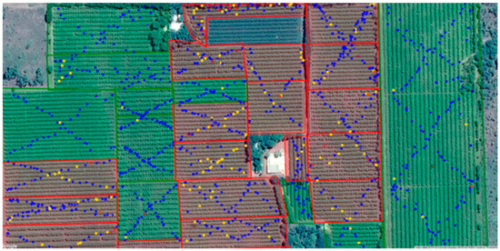 Horticulturae 10 00301 g004