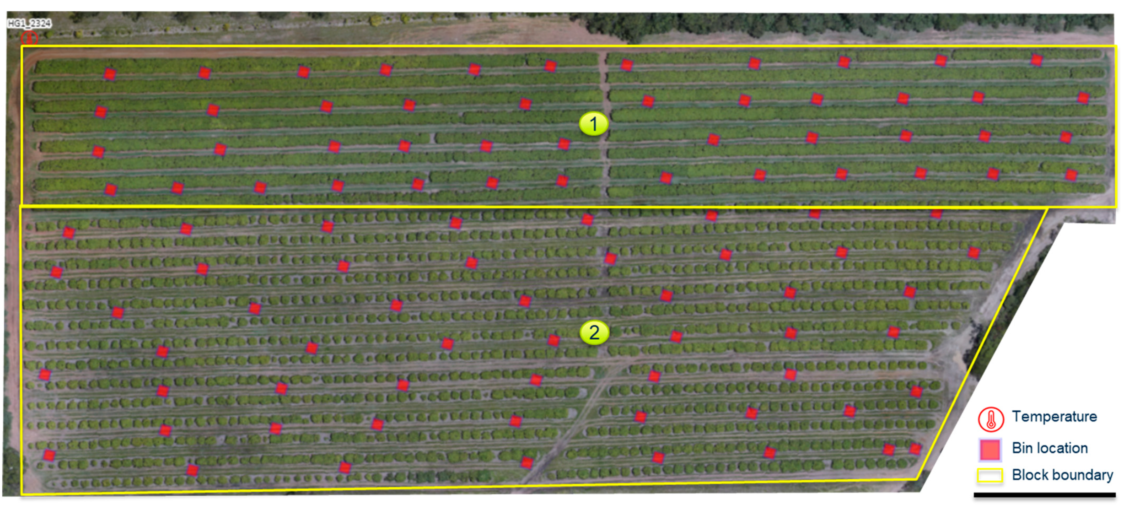 Horticulturae 10 00301 g012