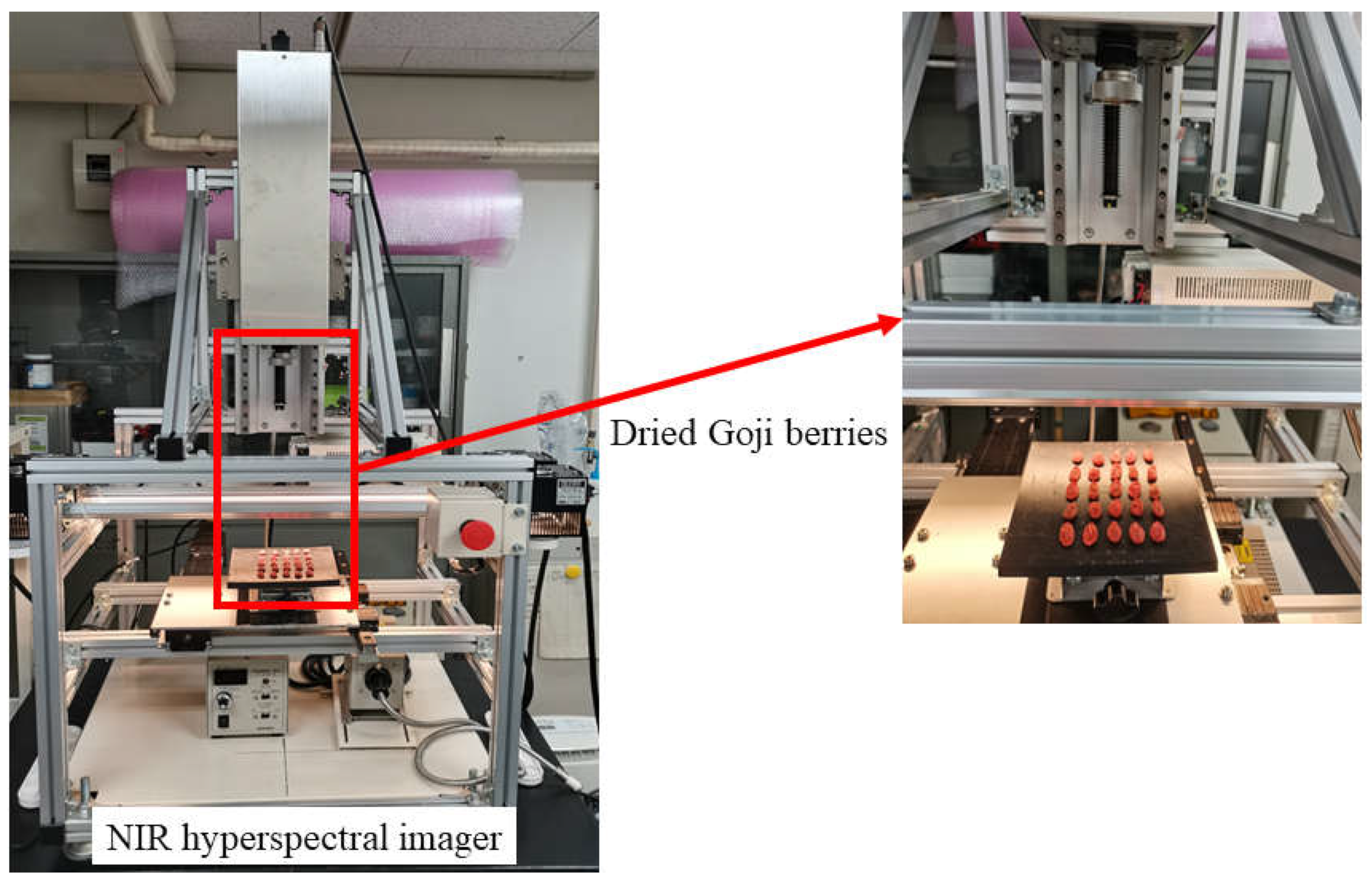 Horticulturae 10 00302 g001