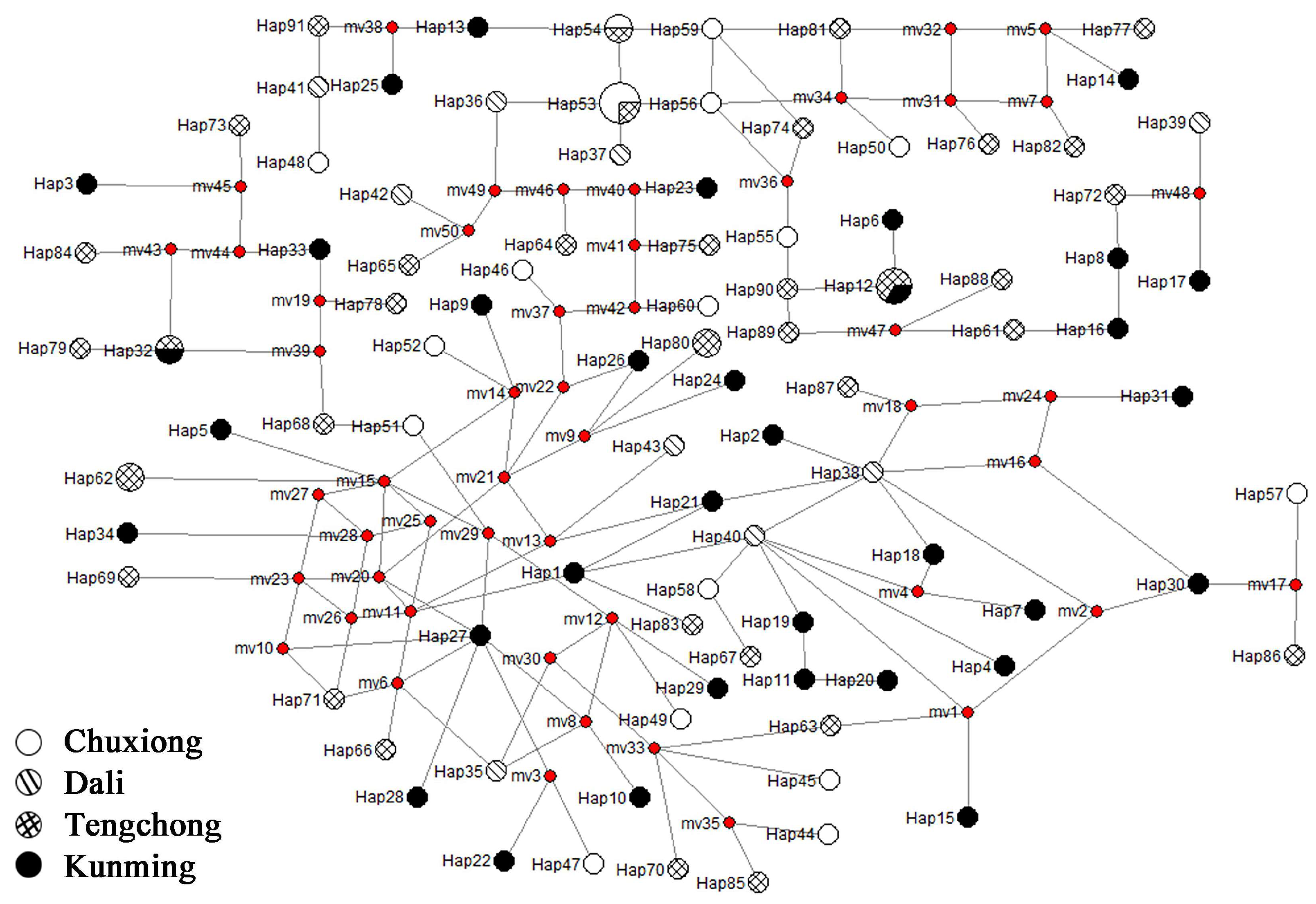 Horticulturae 10 00303 g005