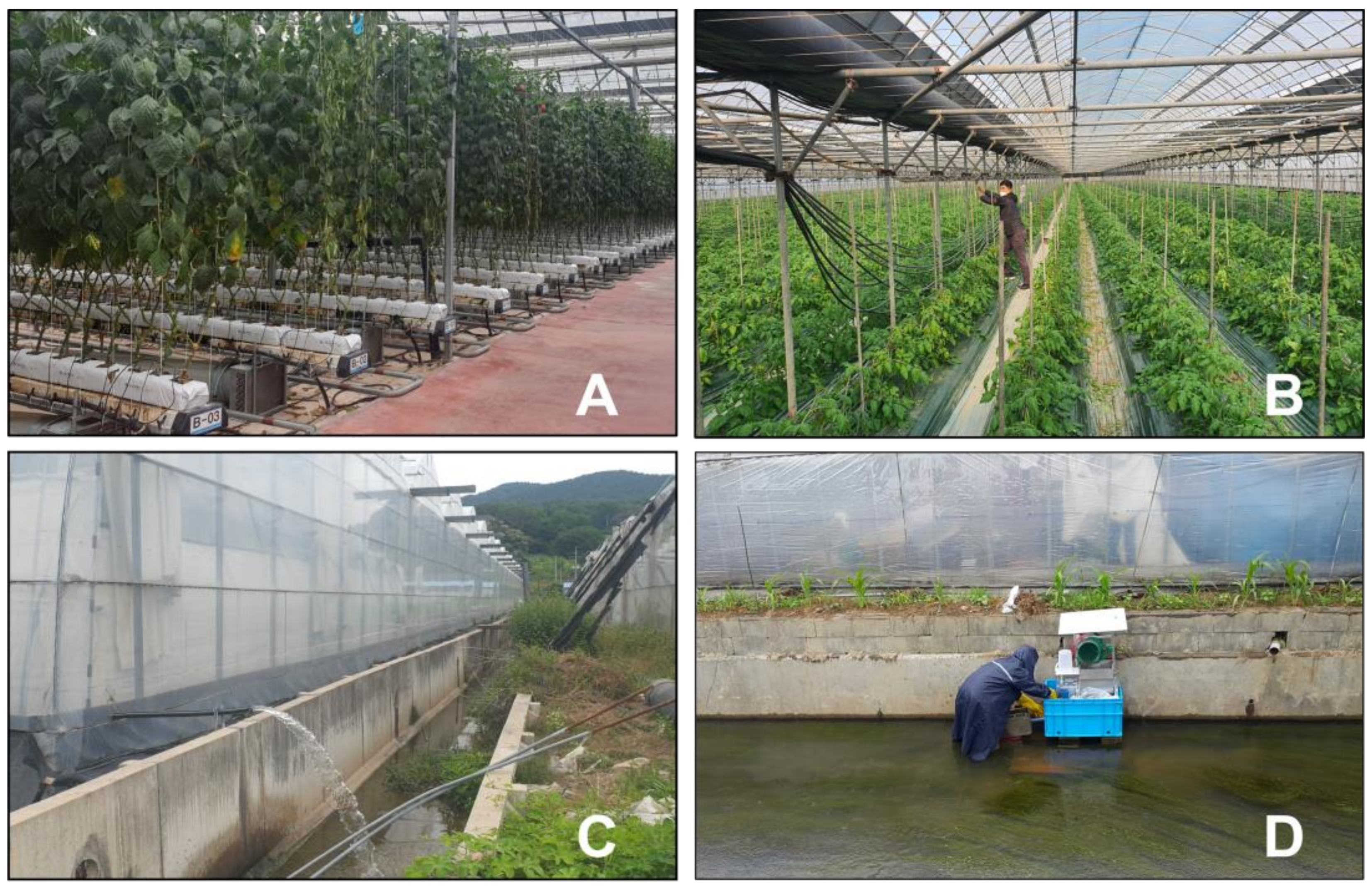 Horticulturae 10 00312 g001