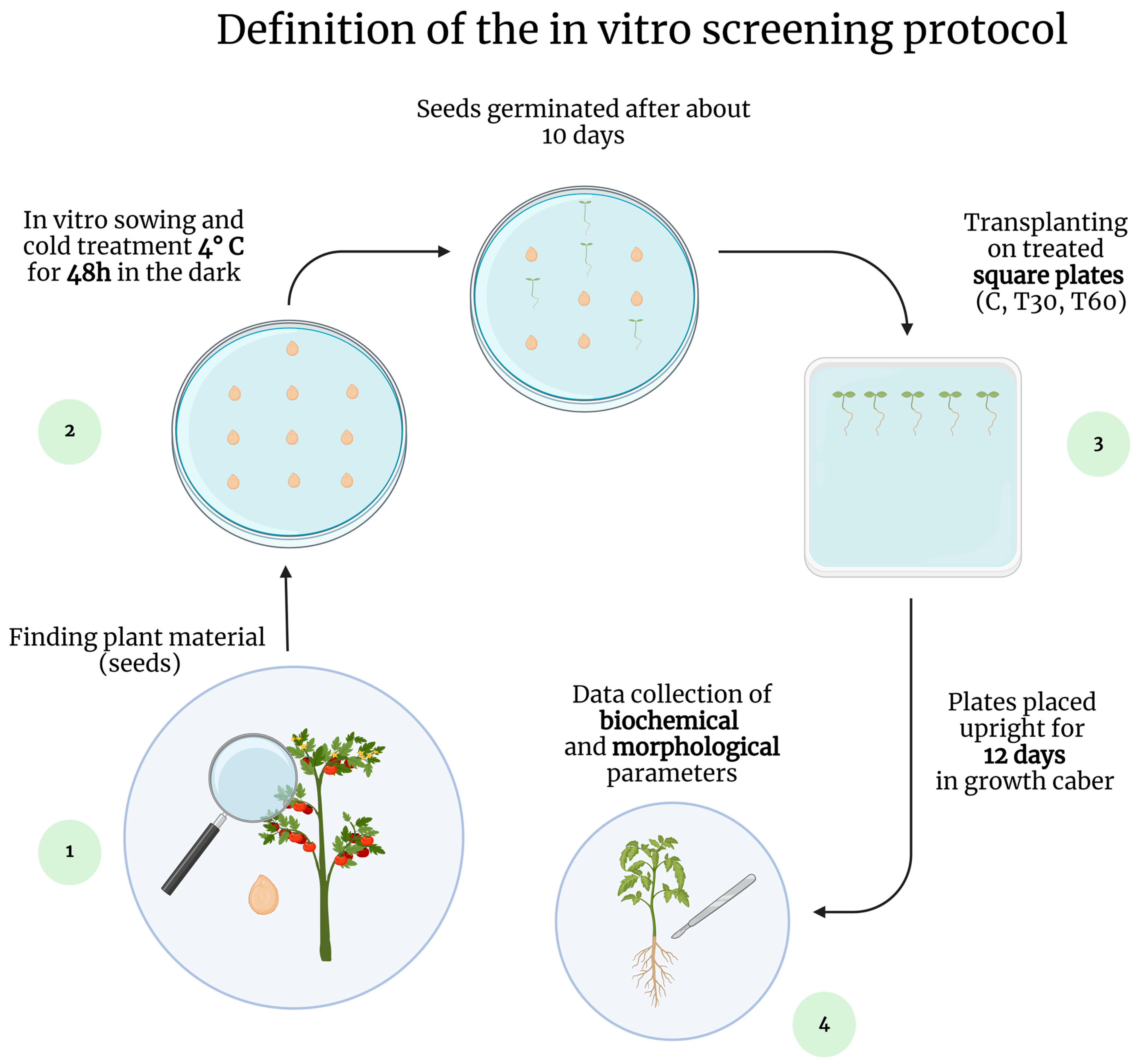 Horticulturae 10 00322 g002