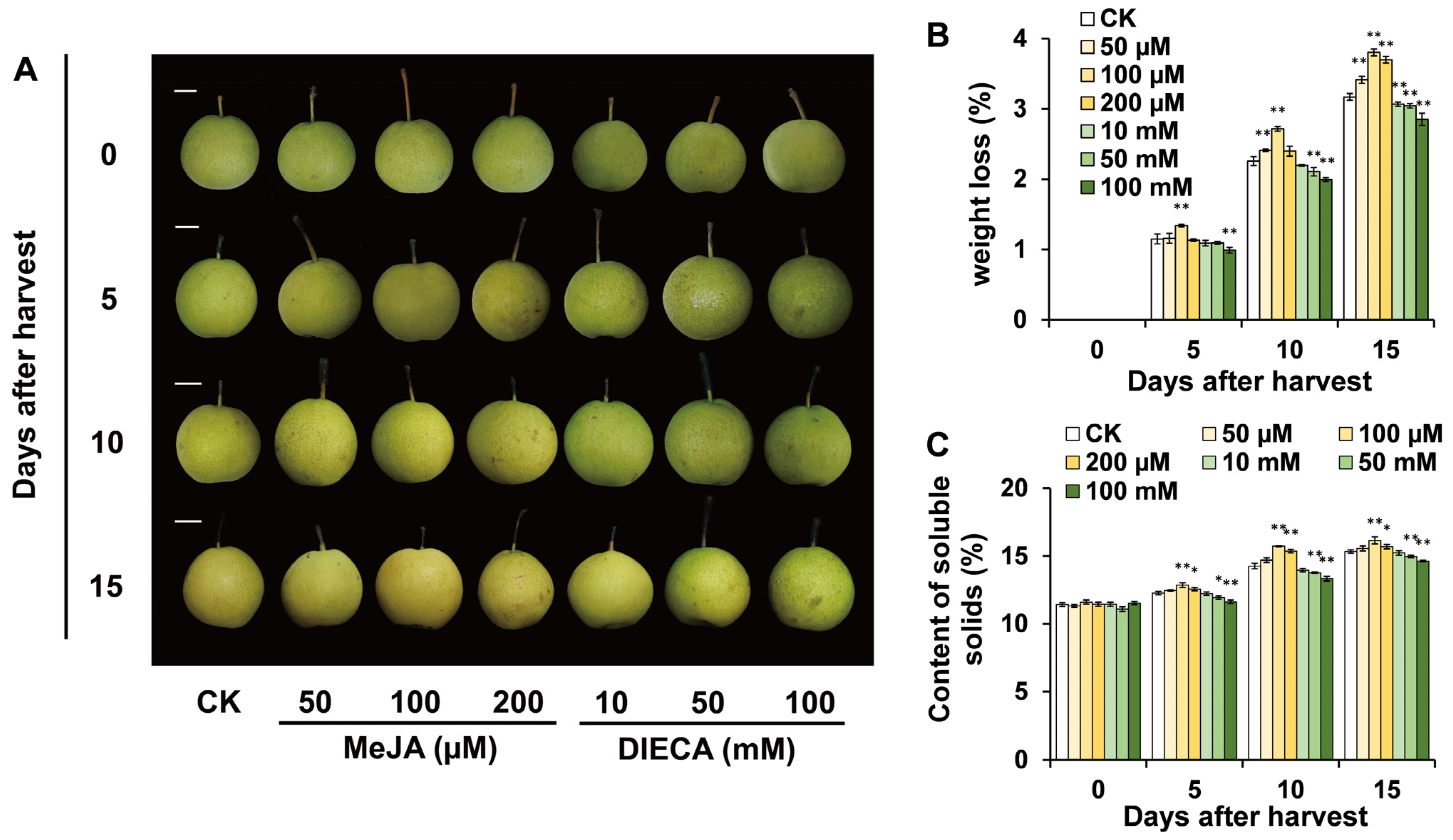 Horticulturae 10 00329 g001