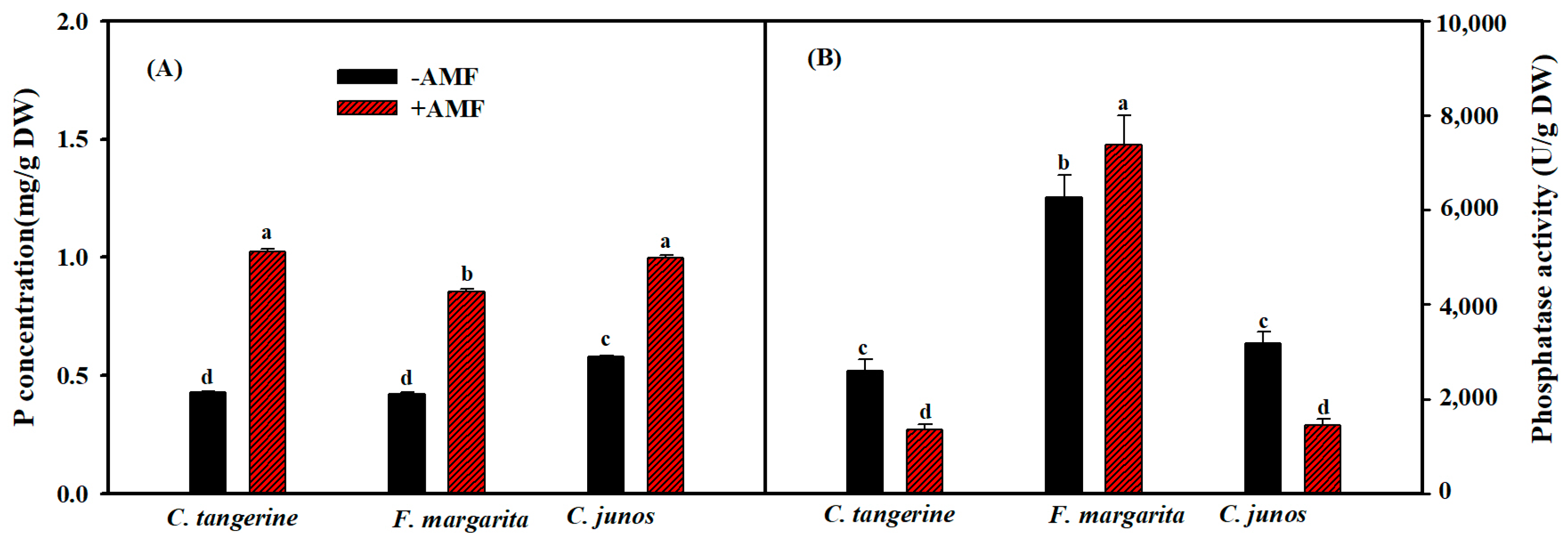 Horticulturae 10 00339 g003