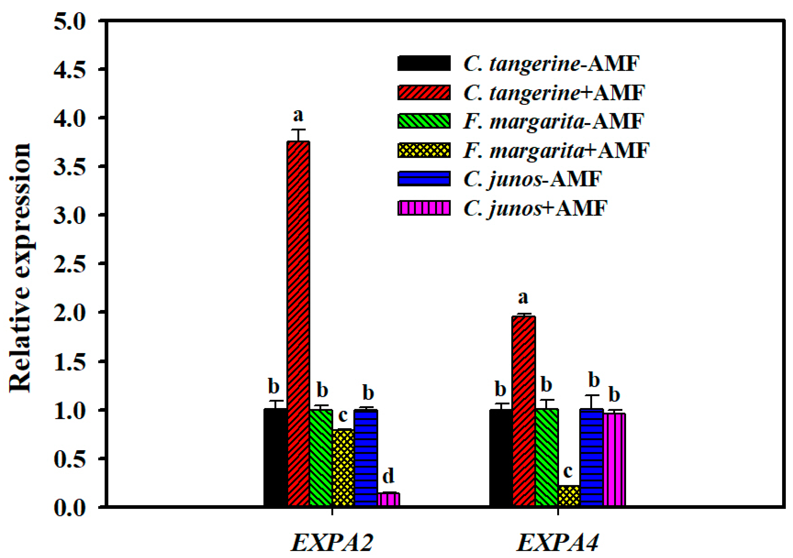 Horticulturae 10 00339 g005