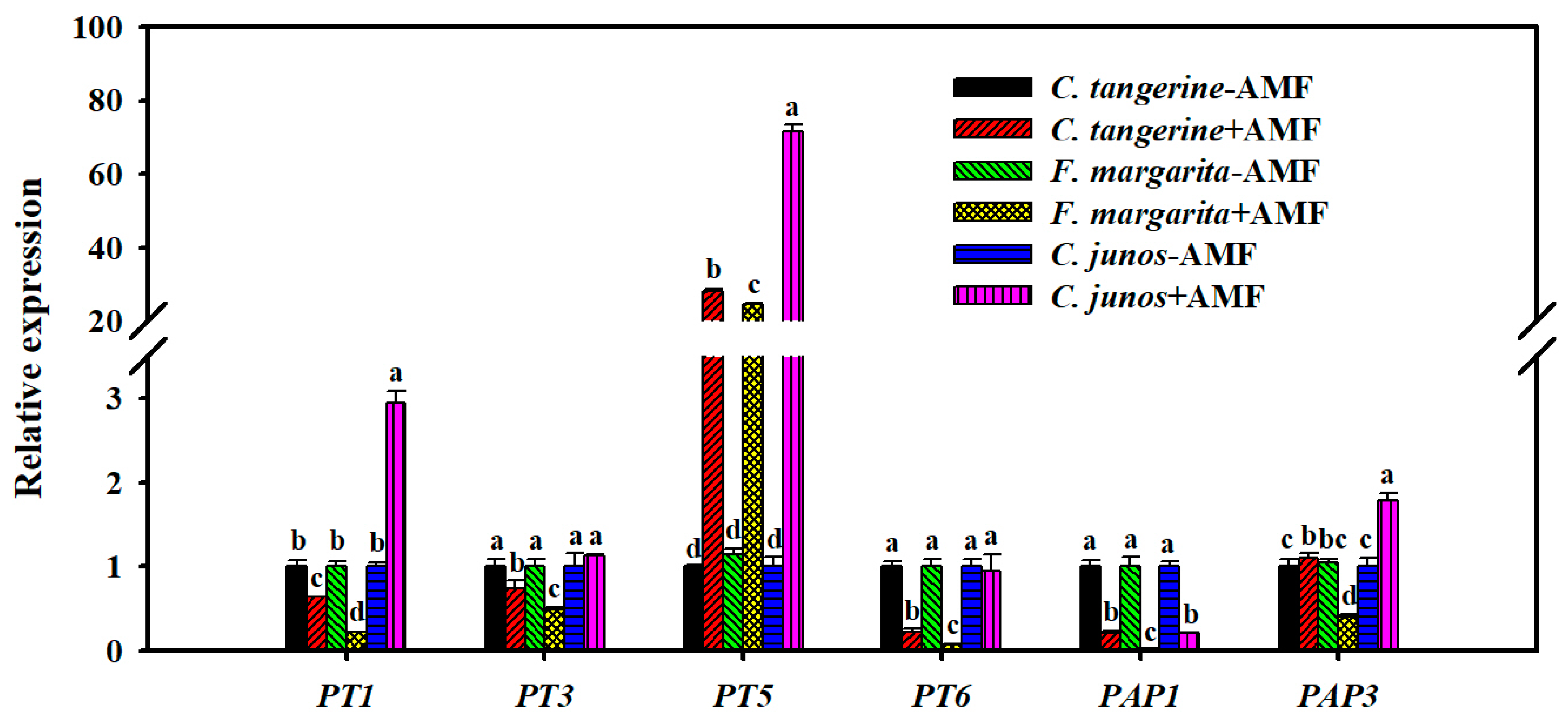 Horticulturae 10 00339 g006